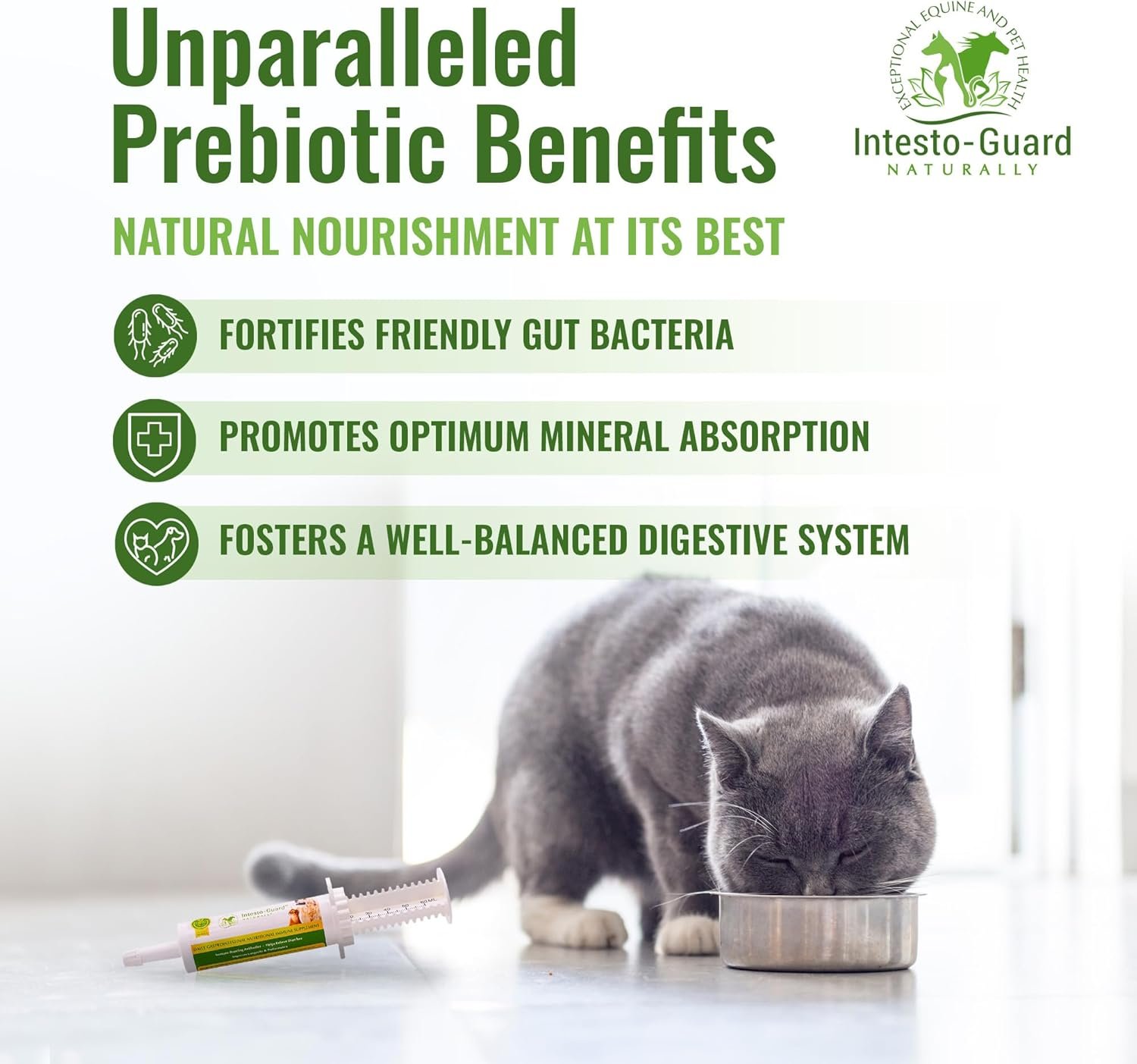 Intesto Guard Probiotics Paste 60ML/60cc Tube for Dogs & Cats Helps with Dog Diarrhea, Immune Supplements, with IgY antibodies & Made in USA - Image 4