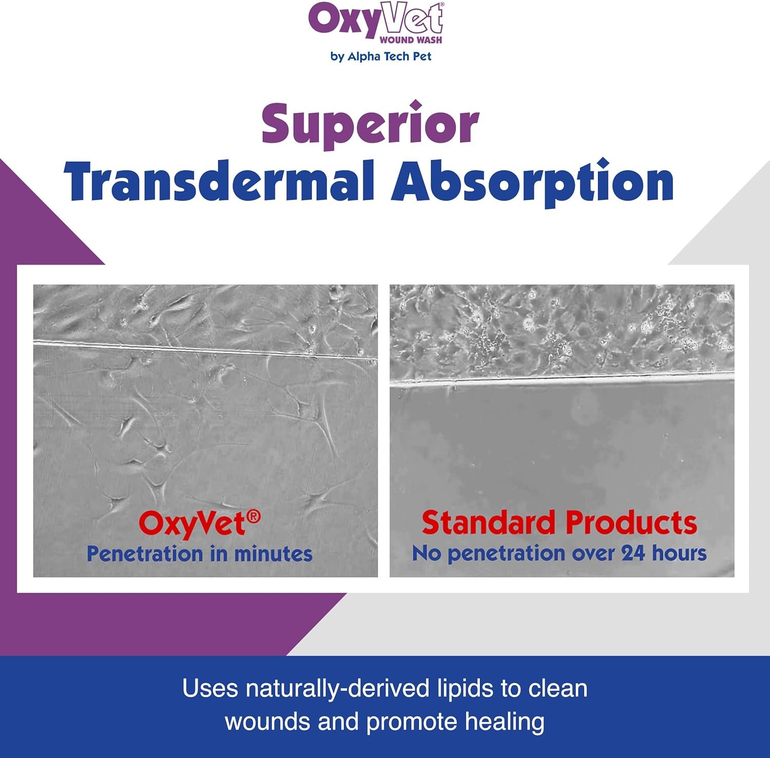 OxyVet Wound Wash for Dogs | Excellent Cleansing Agent | Non-Irritating to Skin and Eyes | Wound Cleanser | Non-Staining Wound and Skin Care | 16 Fl Oz Pet First Aid Spray Bottle - Image 6