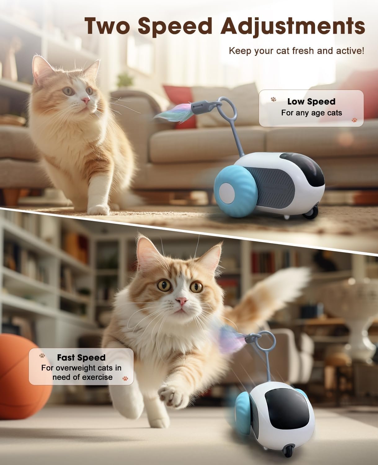 Cat Toys for Indoor Cats, Smart Interactive Cat Toy with Two-Speed Adjustment, Remote Control USB Rechargeable Automatic Cat Exercise Toys for Bored Indoor Adult Cats Kittens (Blue) - Image 4