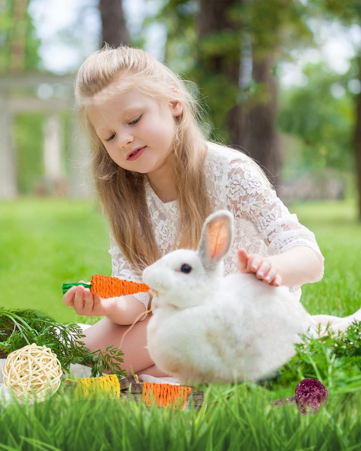 Sofier Rabbit Toys Bunny Toys Guinea Pig Toys 17pcs Natural Timothy Hay Treats Hamster Toys for Teeth Handmade Rabbit Treats and Chews Chinchilla Rat - Image 6