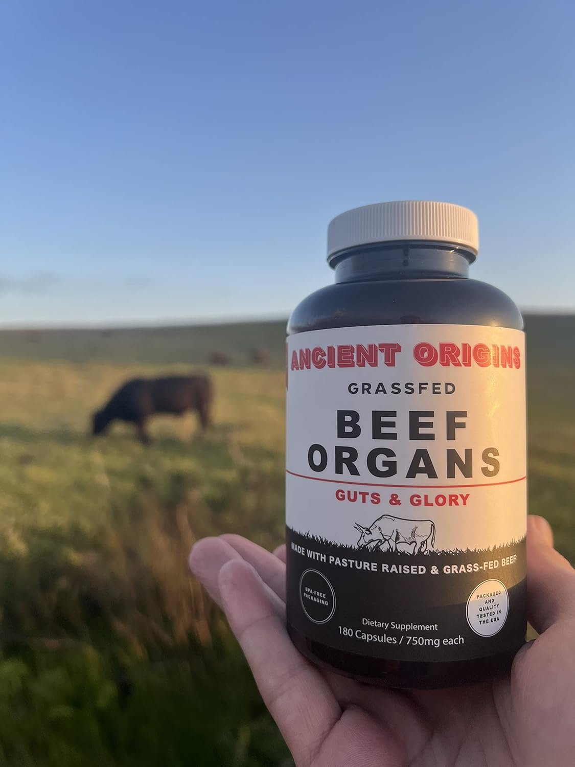 Ancient Origins Grass Fed Beef Organs Supplement 4500mg - Desiccated Liver, Bone Marrow, Heart, Spleen, Pancreas & Kidney, Non-GMO, Gluten Free, Undefatted (180 Capsules, 750mg Each) - Image 8