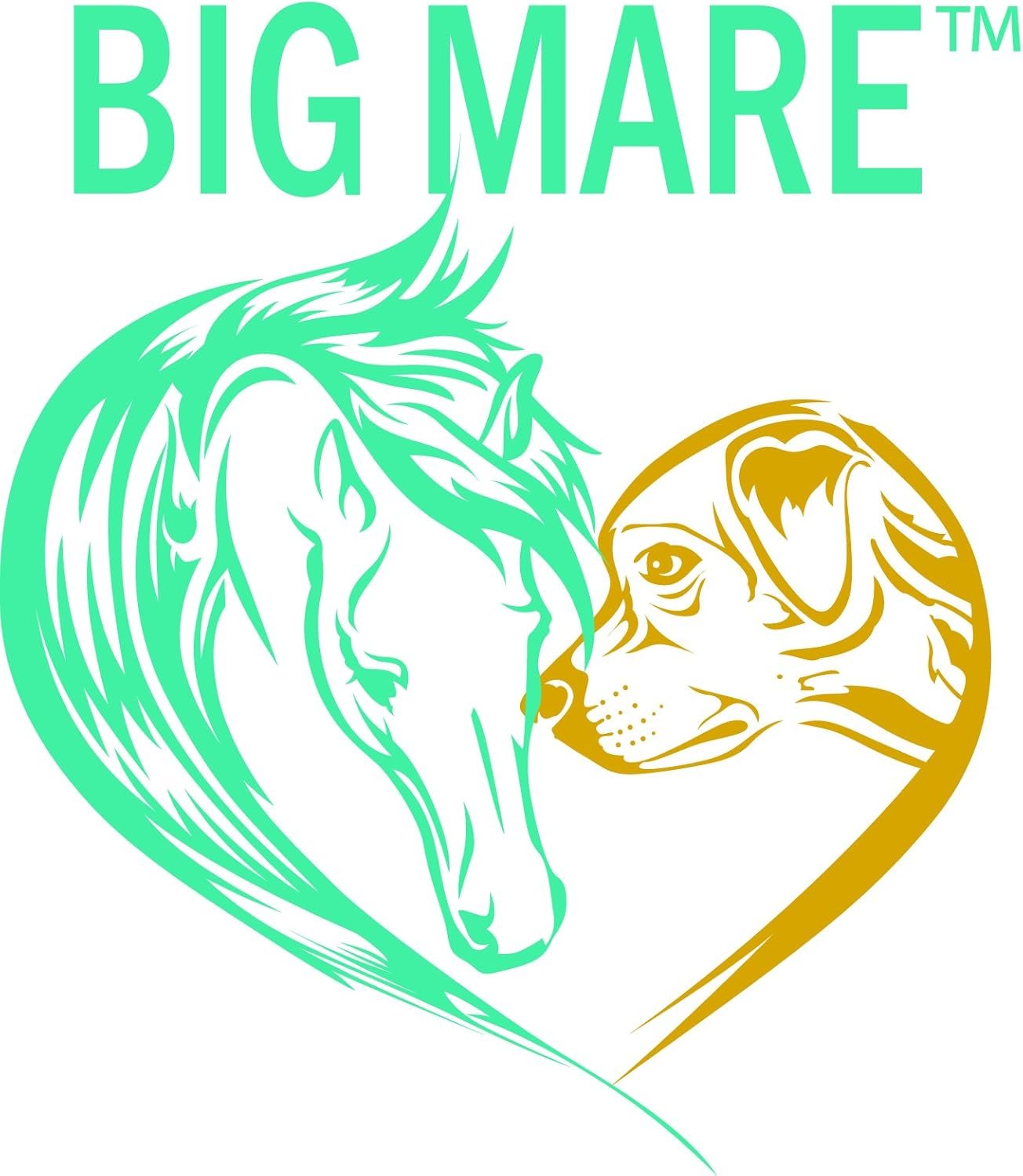 Big Mare Canine Wound Lotion Antibacterial/Antifungal. Clinically Proven Effective for Hot Spots, Open Wounds, Stitches, Yeast, Flea Irritation, Bug Bites & More. Veterinary Approved & Recommended - Image 6