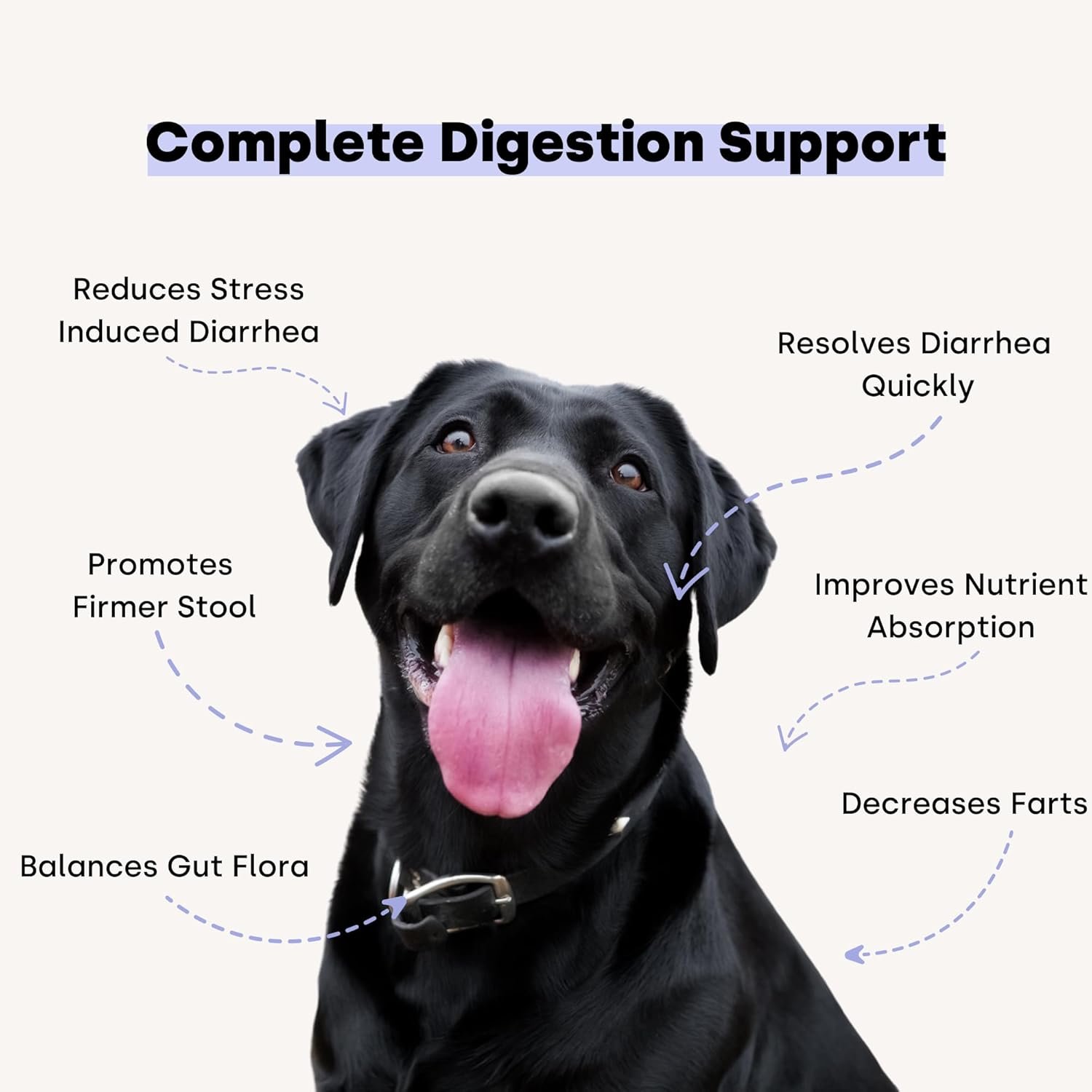Kayode Ultimate Digestion. Fast Acting Anti-Diarrhea Dog Chews. Dog Fart Remedy. Digestive Enzymes for Dogs, Easy Stool Firmer for Dogs. Led with Safe Pumpkin for Dogs. - Image 4