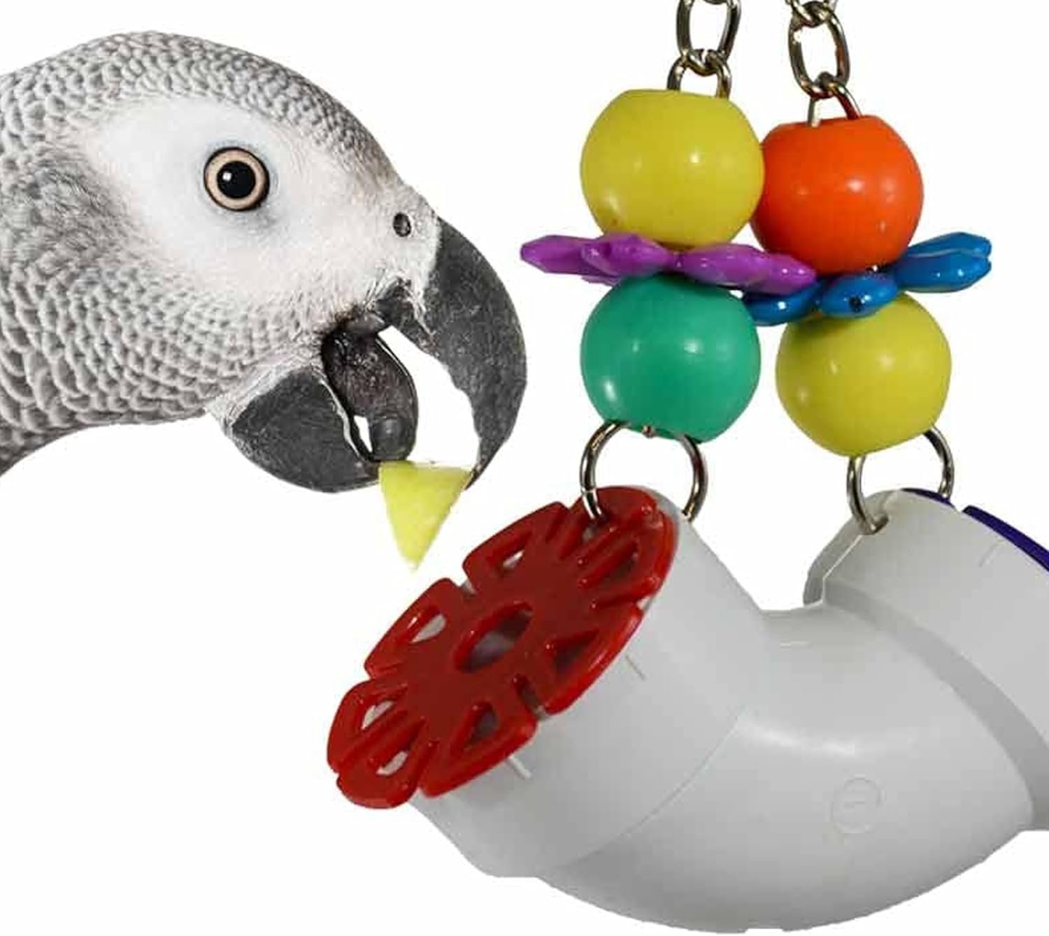 Super Bird Creations SB751 PVC Forager Bird Toy, Medium/Large Bird Size, 3” x 5” x 8” - Image 2