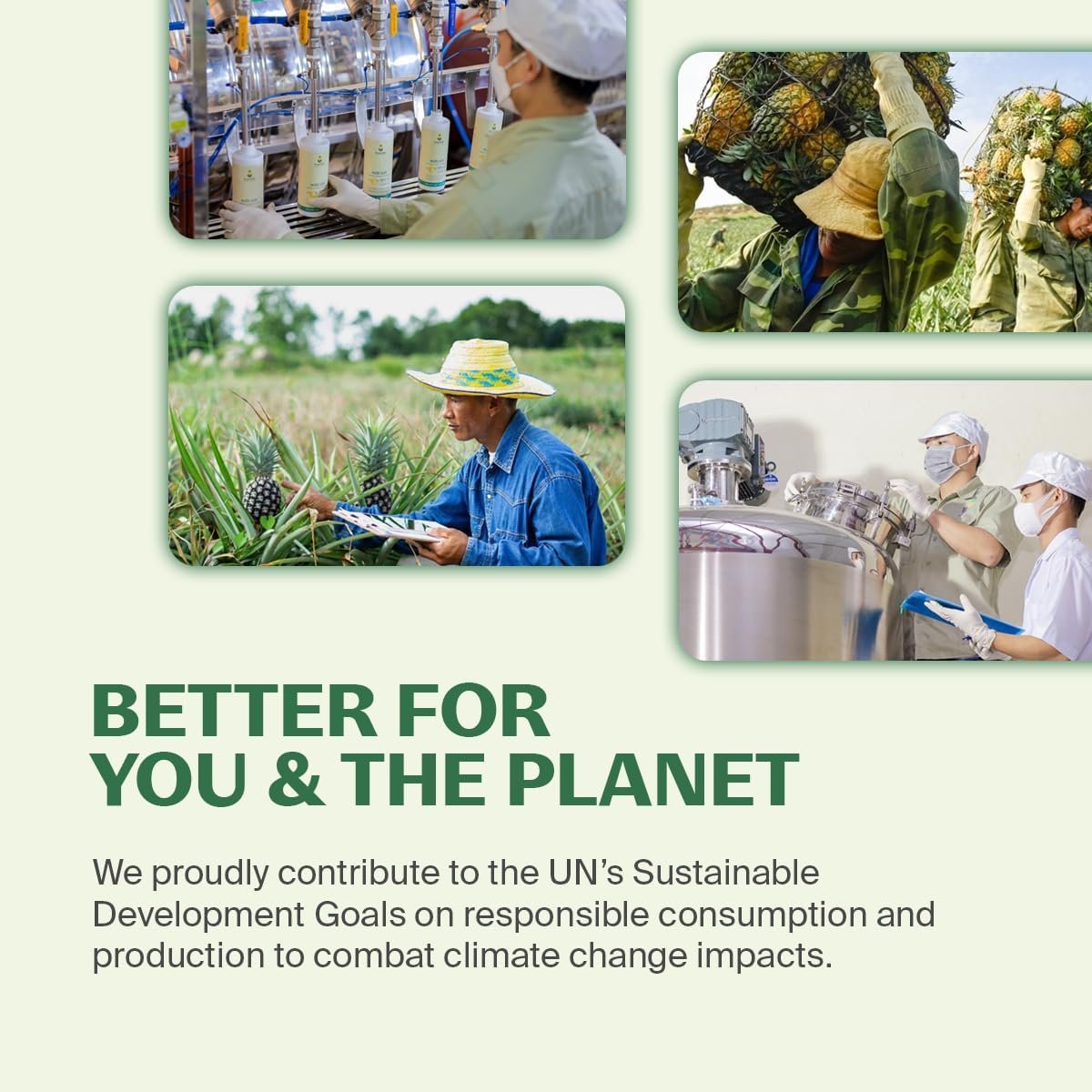 Fuwa3e Pineapple Enzyme Natural All Purpose Cleaner Spray Serene Holy Basil & Peppermint - 16.9oz 1 Pack - Non Toxic Multi Surface Cleaner 99% Plant Based Cleaner from Discarded Pineapple Peels - Image 10