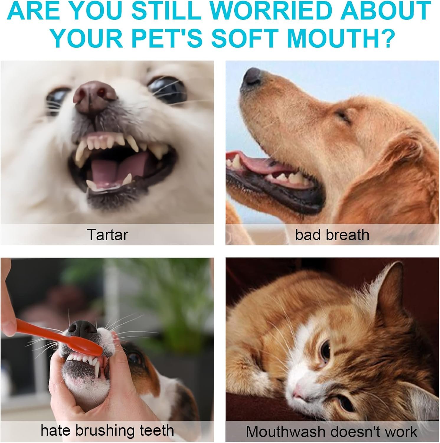 Dog Teeth Cleaning Wipes - Pet Dental Finger Wipes for Dogs, Pet Oral Cleansing Teeth Wipes for Dogs & Cats Tooth and Gums, Reduces Plaque, Freshens Breath and Pets Oral & Dental Care Wipes - 50 pc - Image 5