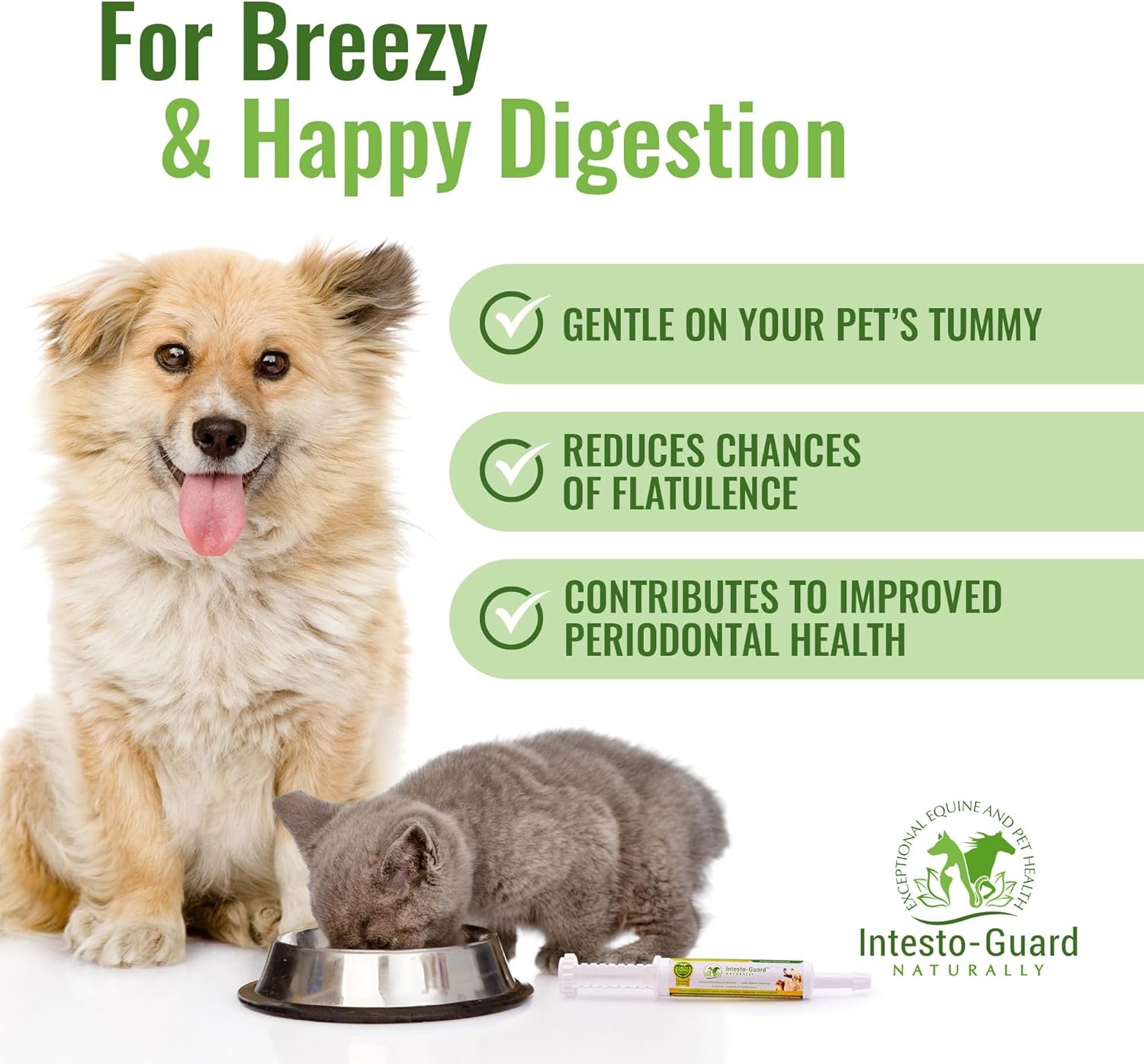 Intesto Guard Probiotics Paste 60ML/60cc Tube for Dogs & Cats Helps with Dog Diarrhea, Immune Supplements, with IgY antibodies & Made in USA - Image 6