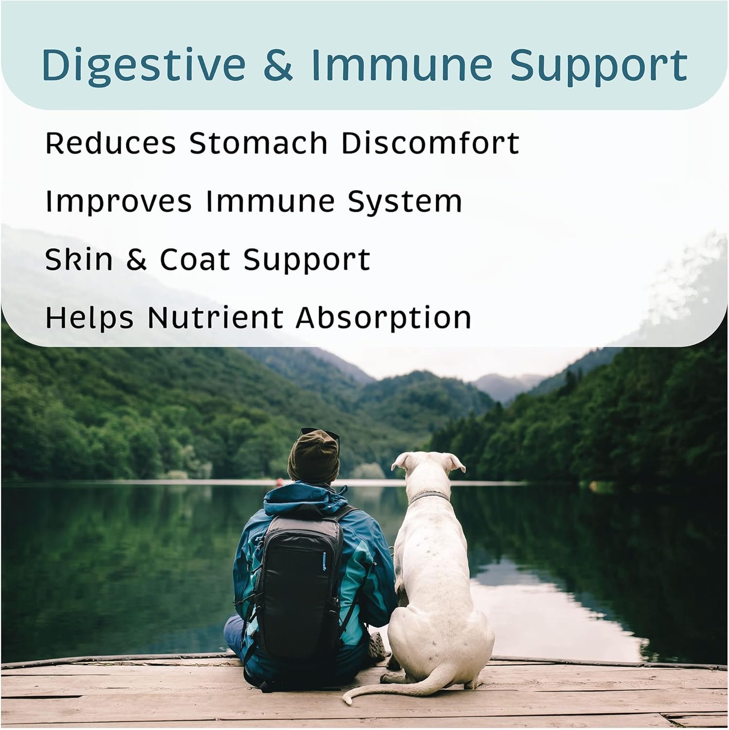 VetOne Advita Probiotic Nutritional Supplement for Dogs - 30 Packets - Image 7