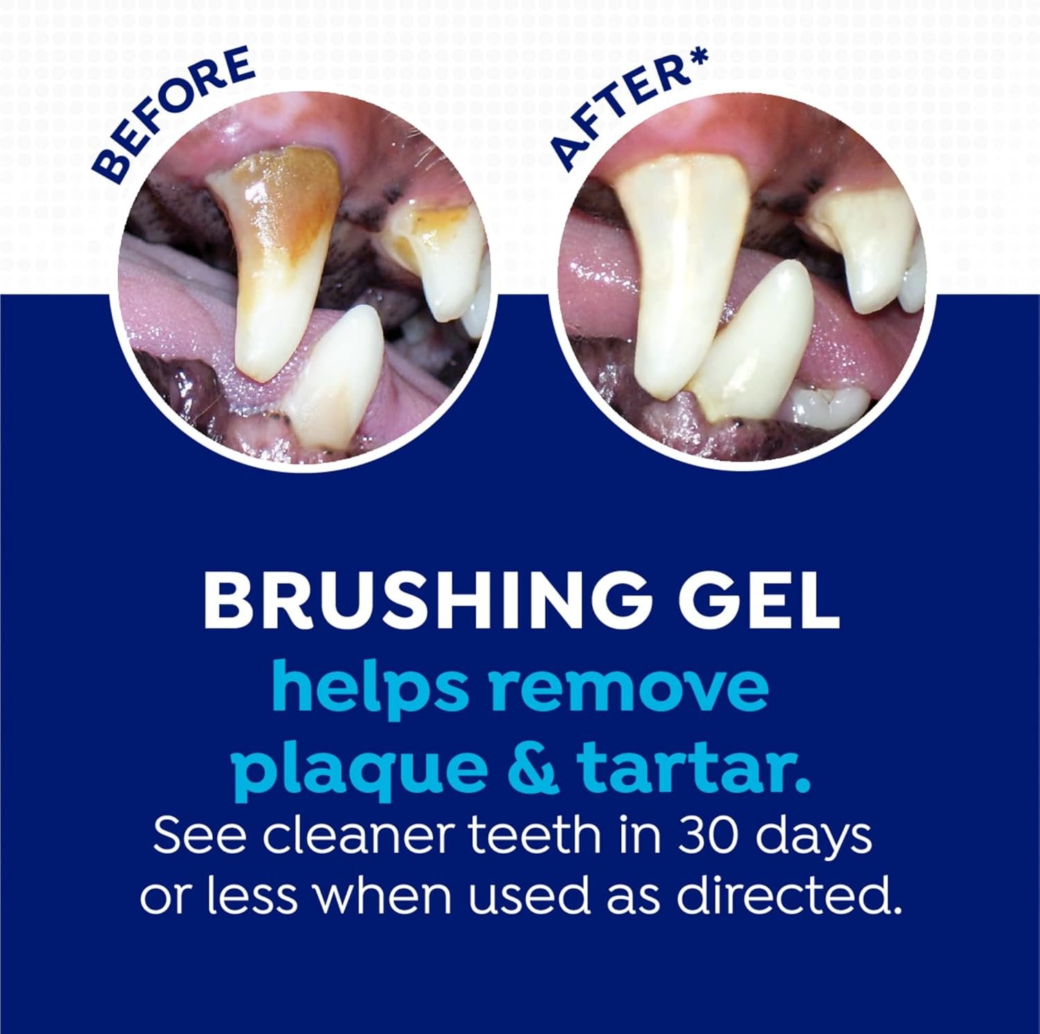 Naturel Promise Fresh Dental Total Care Kit for Dogs/Cats, 2-Ounce - Image 6