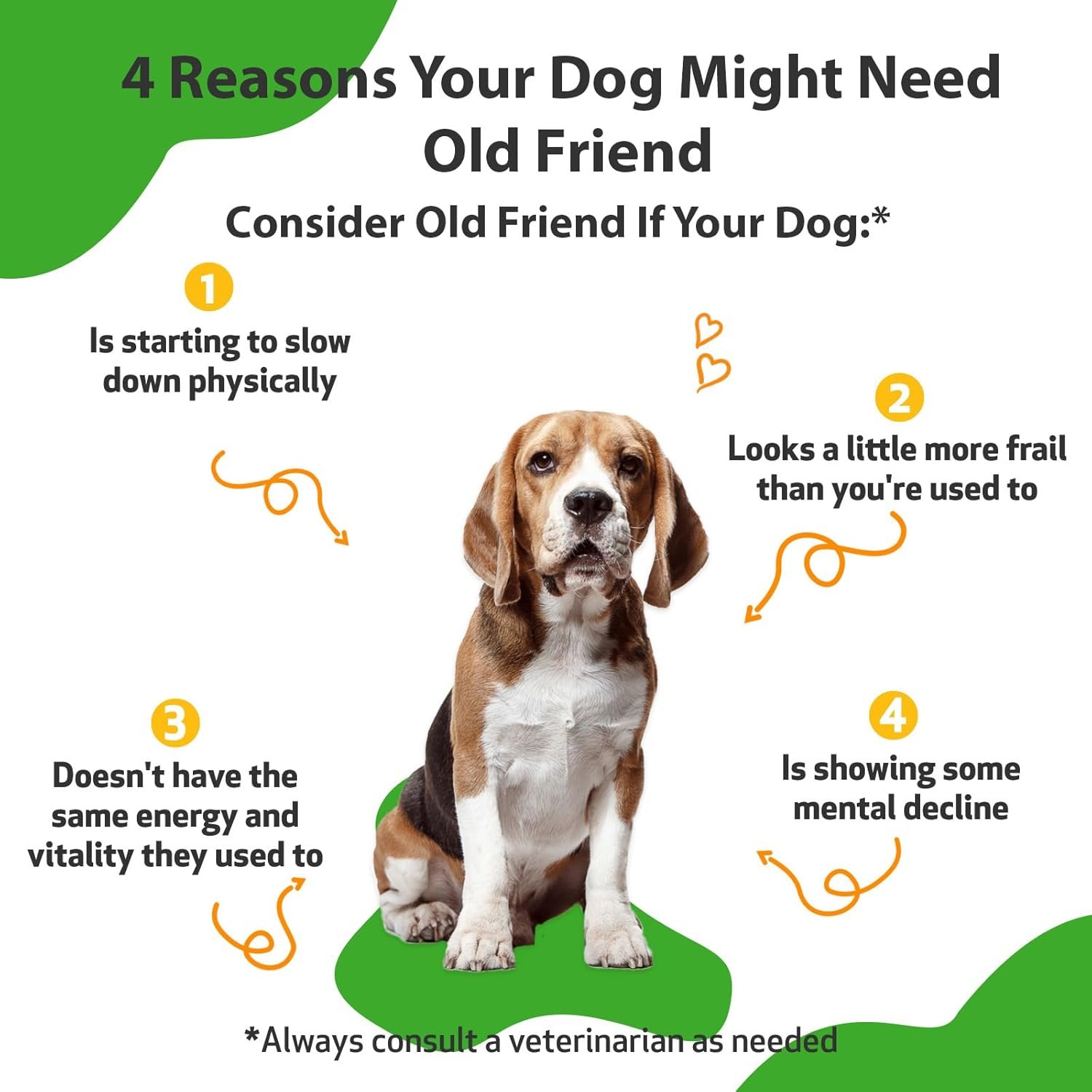 Pet Wellbeing Old Friend for Senior Dogs - Vet-Formulated - Aging Immune System & Joint Mobility Support in Older Canines - Natural Herbal Supplement 2 oz (59 ml) - Image 3