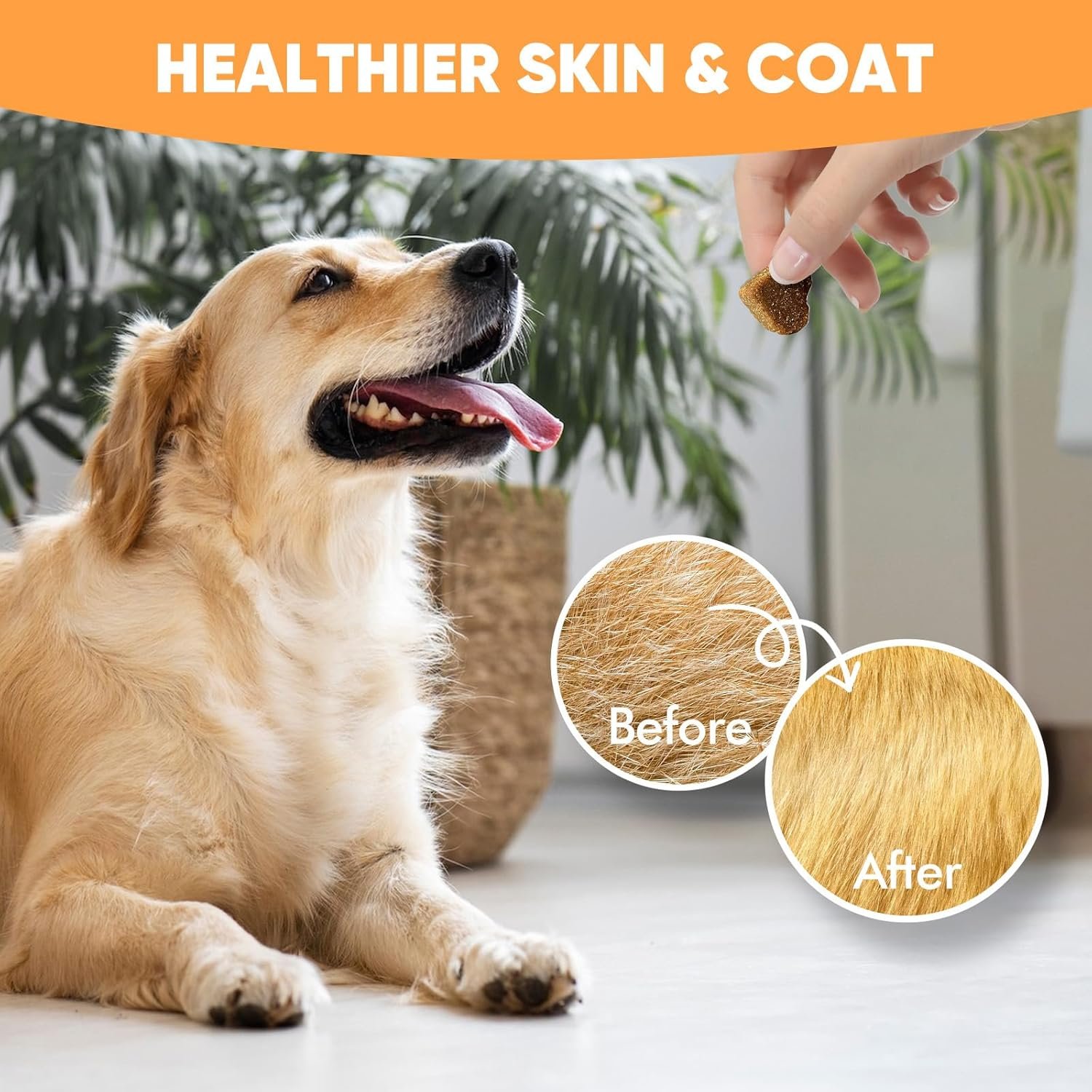 Probiotics for Dogs: Advanced Dog Probiotics & Digestive Enzymes, Digestion & Health Supplement, Support Gut Health, Itchy Skin, Immunity,Yeast Balance, Prebiotics Fiber Supplement Reduce Diarrhea,Gas - Image 7