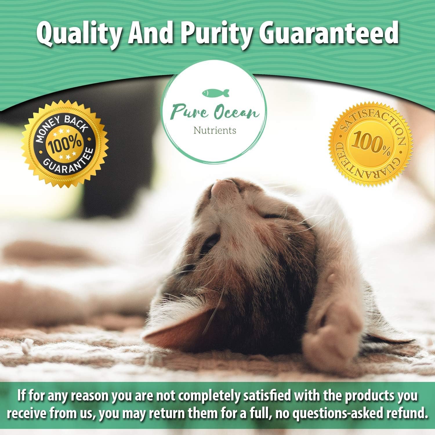 Wild Alaskan Salmon Fish & Hemp Seed Oil for Dogs 16 oz; Natural Liquid Supplement with Omega 3's Support Joint, Heart, and Immune Health; Essential Fatty Acids Promote a Shiny Coat and Healthy Skin - Image 7