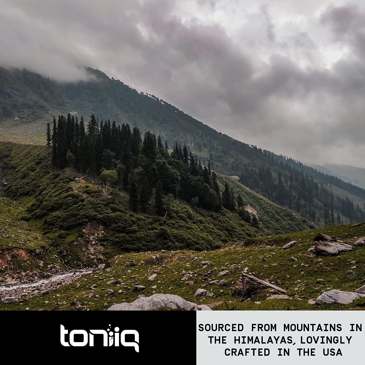 Toniiq Ultra High Strength Berberine HCl 500mg from The Himalayas - Berberine Supplement - 97% Tested Purity Extract - Wild Harvested - Concentrated Berberine 500mg Supplements -90 Veggie Capsules - Image 8