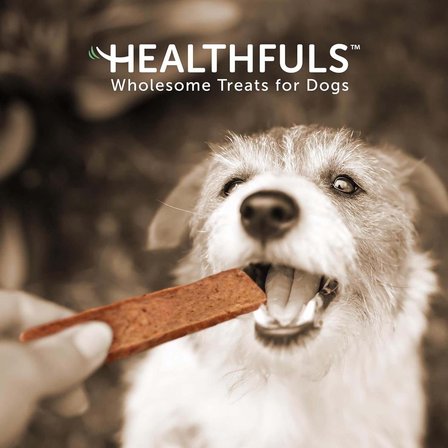 Salmon Fillet Dog Treats, 3.5oz - Image 9