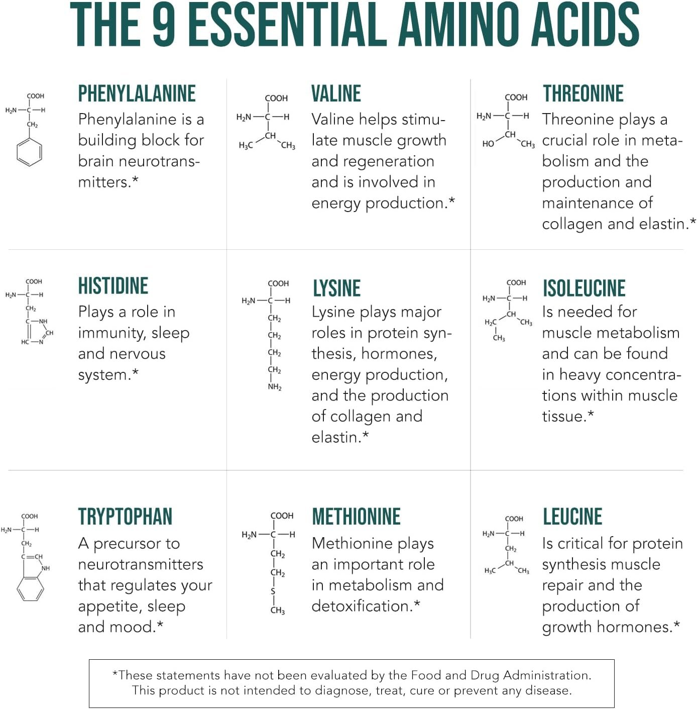 Plant Aminos Organic Essential Amino Acids (EAAs) & BCAA - 100% Plant-Based Raw, Vegan - All 9 Amino Acids with 18 Total Amino Acids (360 Tablets) - Image 8