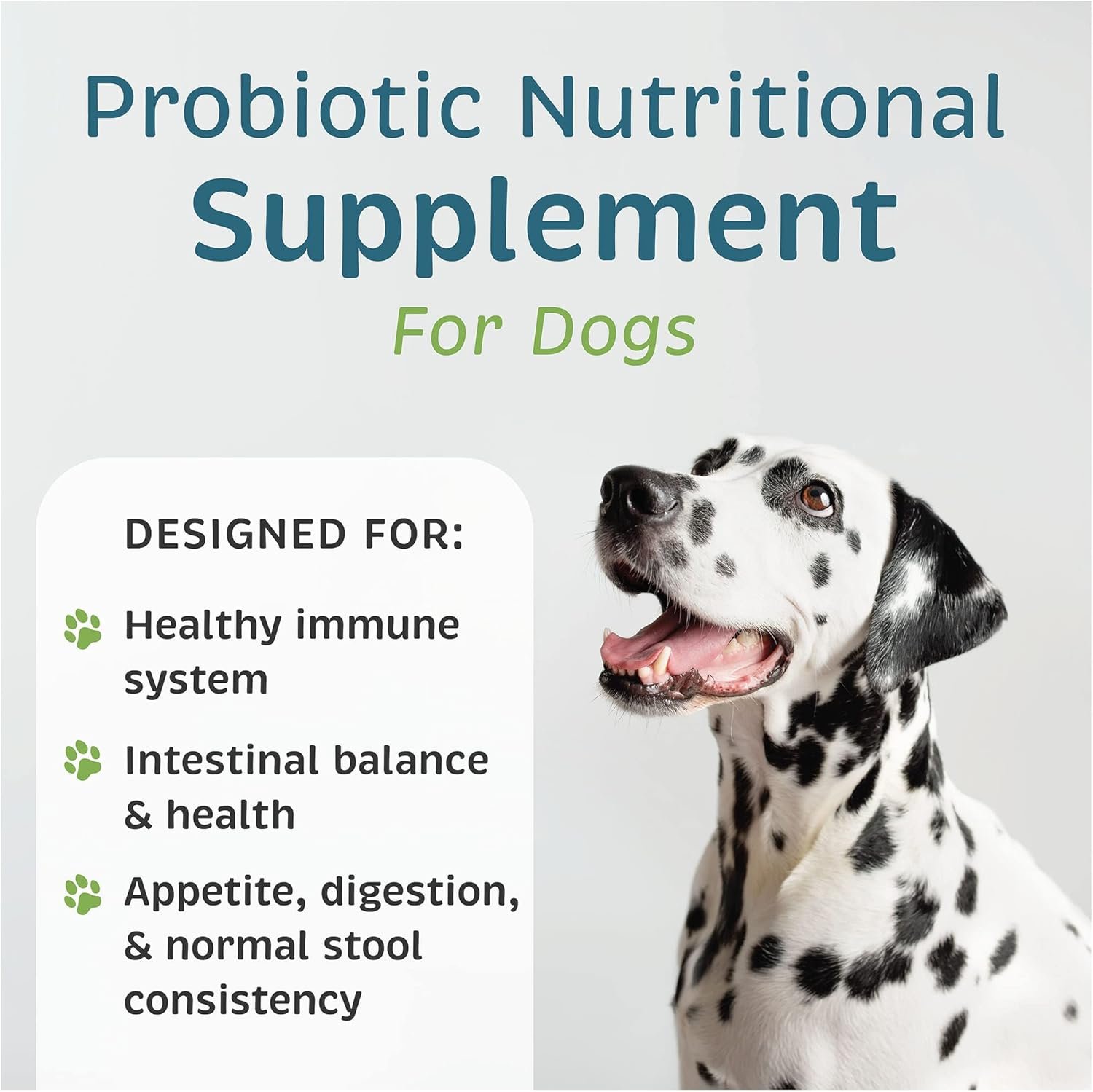 VetOne Advita Probiotic Nutritional Supplement for Dogs - 30 Packets - Image 3