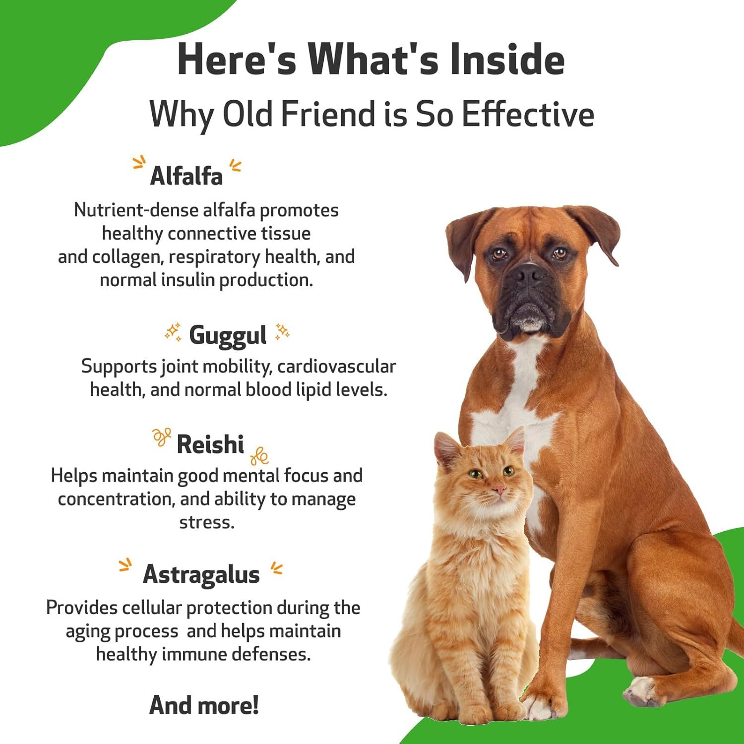 Pet Wellbeing Old Friend for Senior Dogs & Cats - Vet-Formulated - Aging Immune System & Joint Mobility Support in Older Pets - Natural Herbal Supplement 4 oz (118 ml) - Image 6