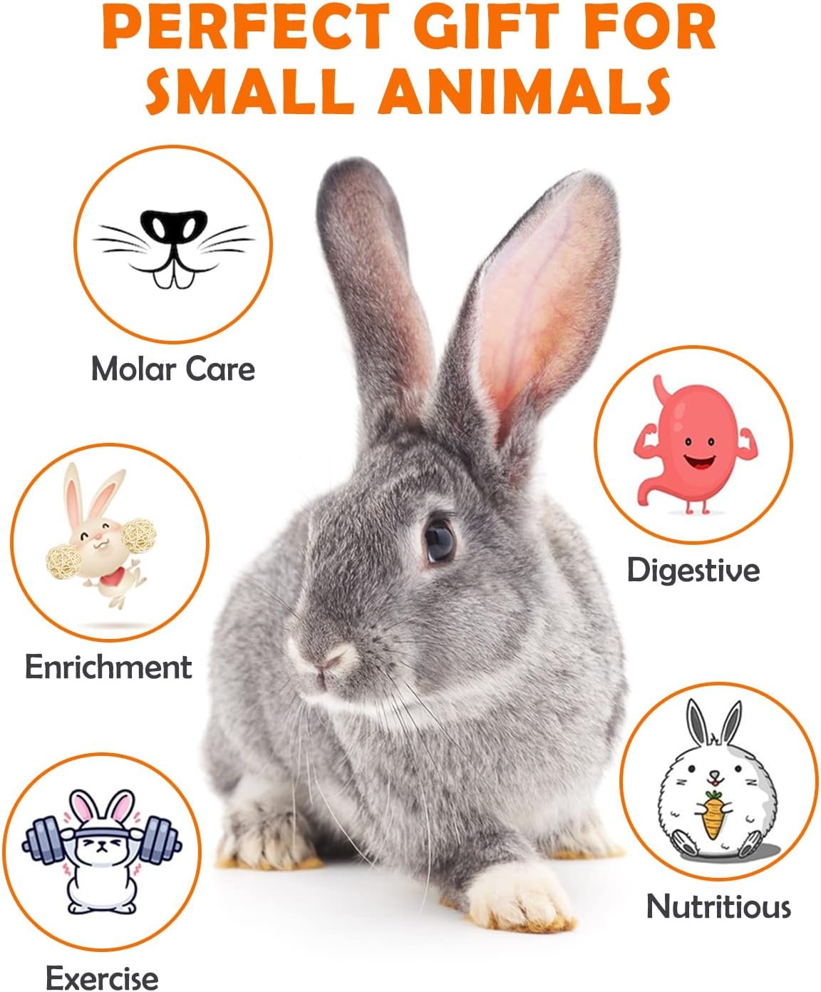 Sofier Rabbit Toys Bunny Toys Guinea Pig Toys 17pcs Natural Timothy Hay Treats Hamster Toys for Teeth Handmade Rabbit Treats and Chews Chinchilla Rat - Image 7