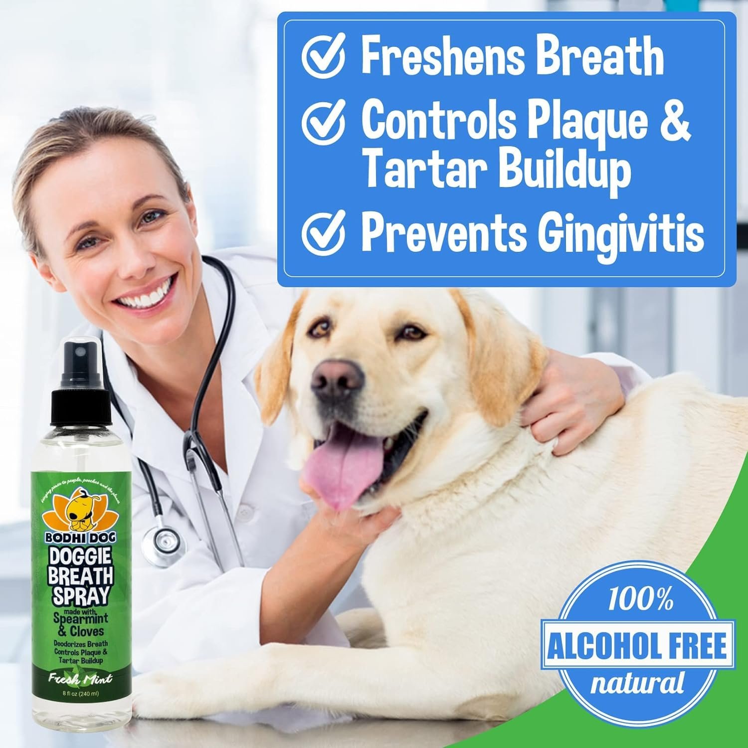 Bodhi Dog Large Natural Dog Breath Freshener for Dogs Teeth and Healthy Gums | Best for Tartar Cleaning, Plaque Remover & Fresh Dental Oral Care - Image 6