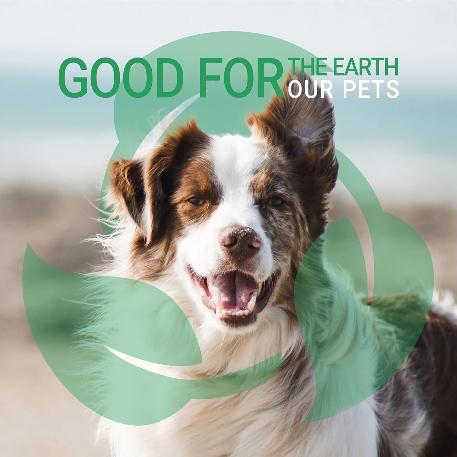 Green Groom Odor Eliminator Dog Shampoo, 1 Gallon - Crafted with Odortrol, All Natural Ingredients, Antioxidant Rich, Eliminates Smelly Pet Odors, Powerful Deodorizing Formula, Professional Grade - Image 9
