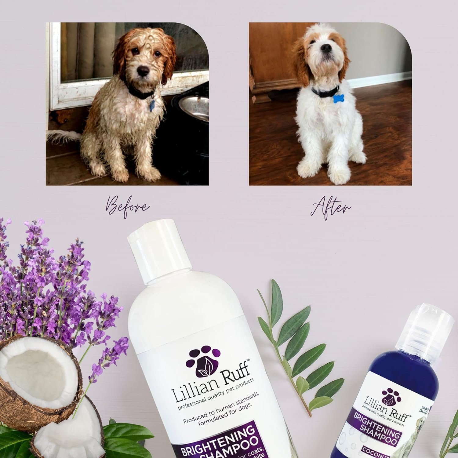 Lillian Ruff Ultra-Brightening Professional Whitening Shampoo for Dogs with Aloe & Coconut Oil for Dry Skin & Itch Relief - pH-Balanced Dog Whitening Shampoo Remove Stains, Yellowing, & Odor (16oz) - Image 5