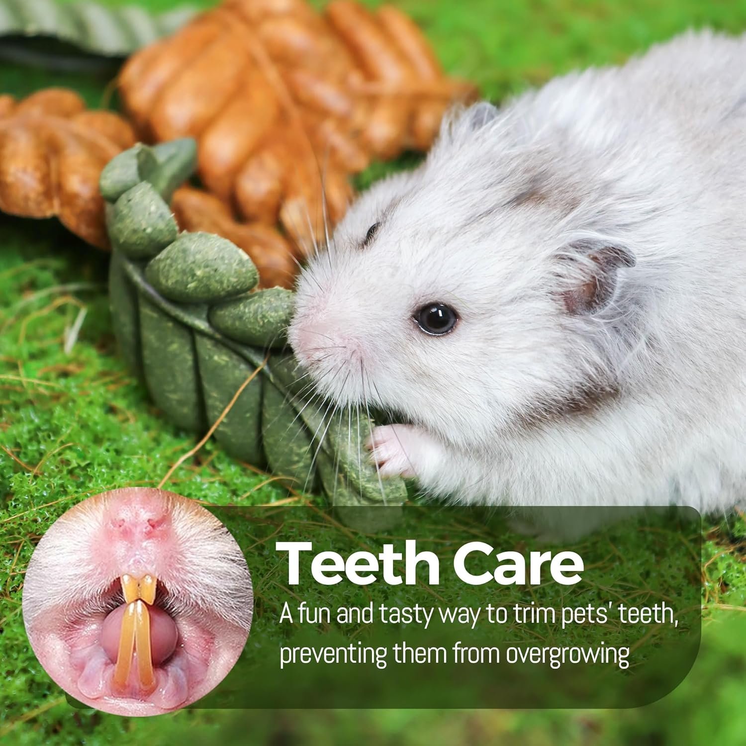 Nibble Leaves 6PCs Small Animal Chew Toys for Teeth, Edible Long Lasting Teeth Grinding Gerbil Chinchilla Degu Hamster Guinea Pig Toys, Dental Chew Treat Boredom Breaker & Habitat Enrichment - Image 3