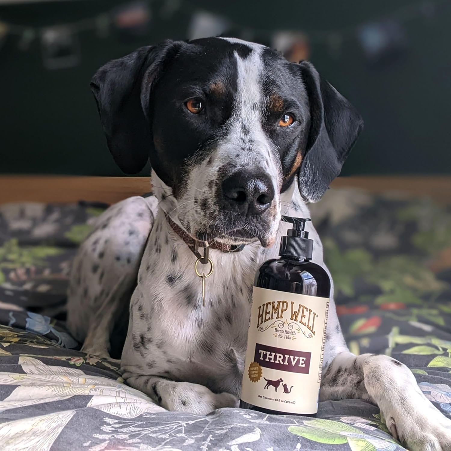 Hemp Well Thrive Pet Oil for Cats and Dogs, Everyday Supplement for Overall Health, Hip, Joint, and Heart Health, Organically Sourced - 8 Ounce - Image 6