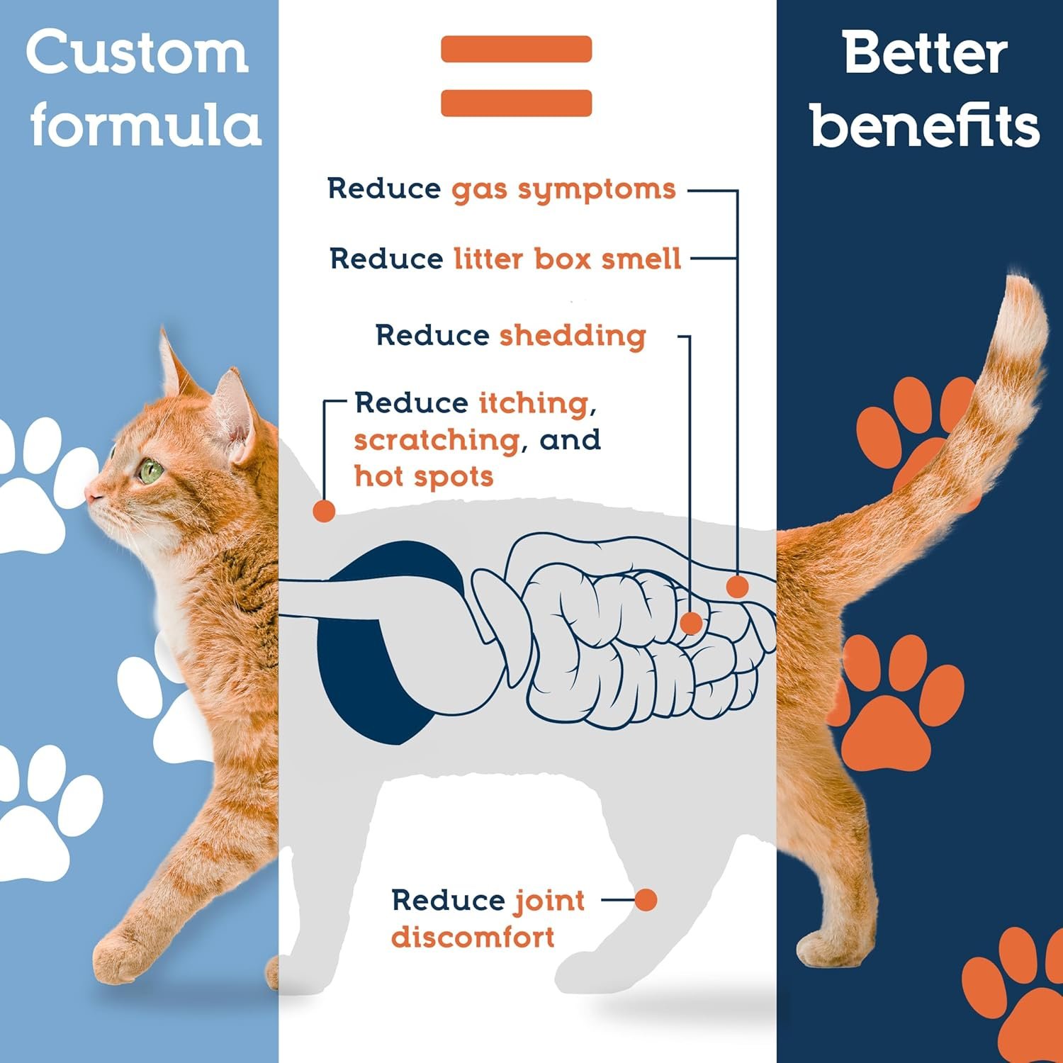 Pet Ultimates Probiotics for Cats – 20-Species Cat Probiotic Powder to Treat Diarrhea, Vomiting, Digestive Support & Cat Antibiotics Recovery – Cat Health Supplies (44 gr) - Image 5