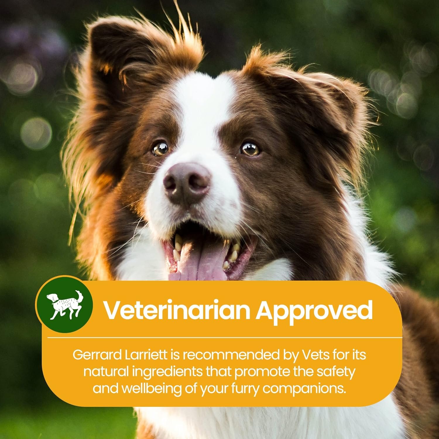 Gerrard Larriett: Natural Dog and Cat Breath Freshener - Dog Mouthwash with Mint, Aloe Vera, & Baking Soda - Gentle Cat & Dog Breath Spray for Plaque, Tartar Control for Full Pet/Dog Oral Care, 8 oz - Image 8