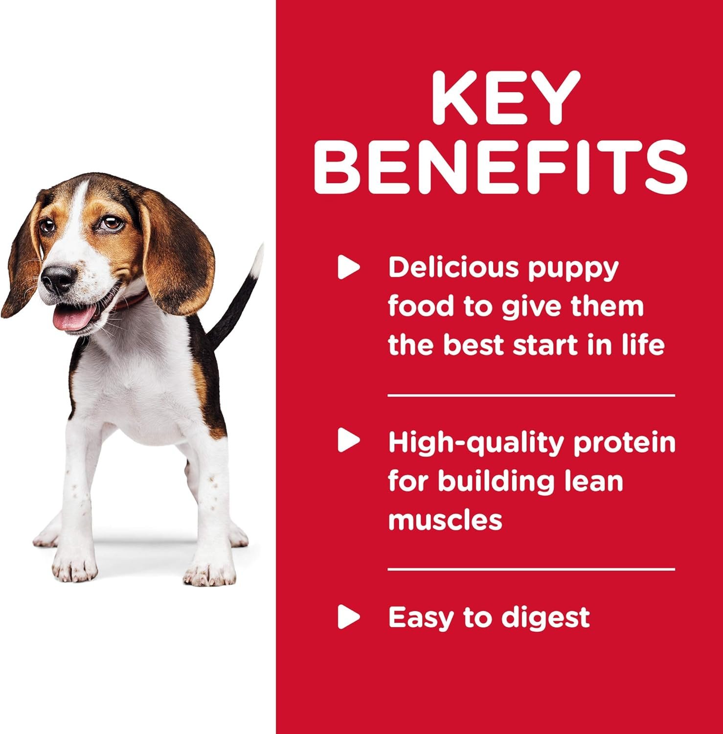 Hill's Science Diet Puppy, Puppy Premium Nutrition, Wet Dog Food, Chicken & Vegetables Stew, 12.8 oz Can, Case of 12 - Image 4