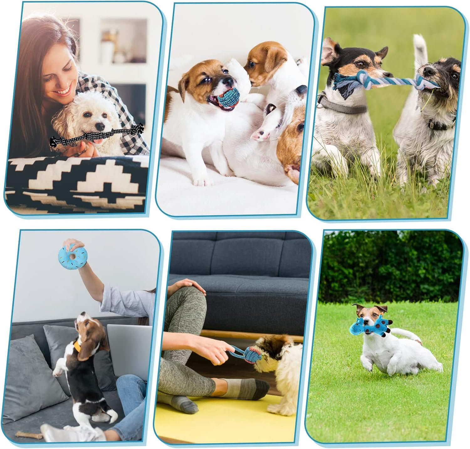 Dog Toys Small Dog Chew Toys Dog Teething Toys Squeaky Toys Chihuahua Pomeranian Corgi and PoodlesToys 6 PCS - Image 7