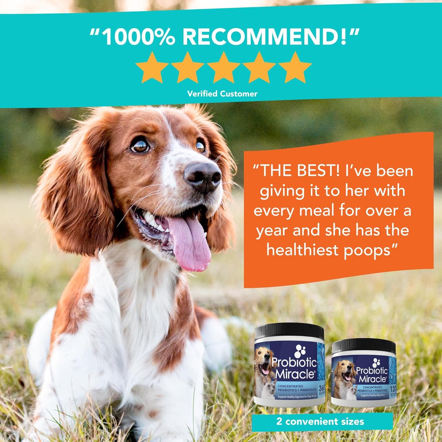 Probiotics for Cats & Dogs : Probiotic Miracle : Bowel & Gut Support : Digestive Health : Stop Diarrhea, Loose Stool - Image 7