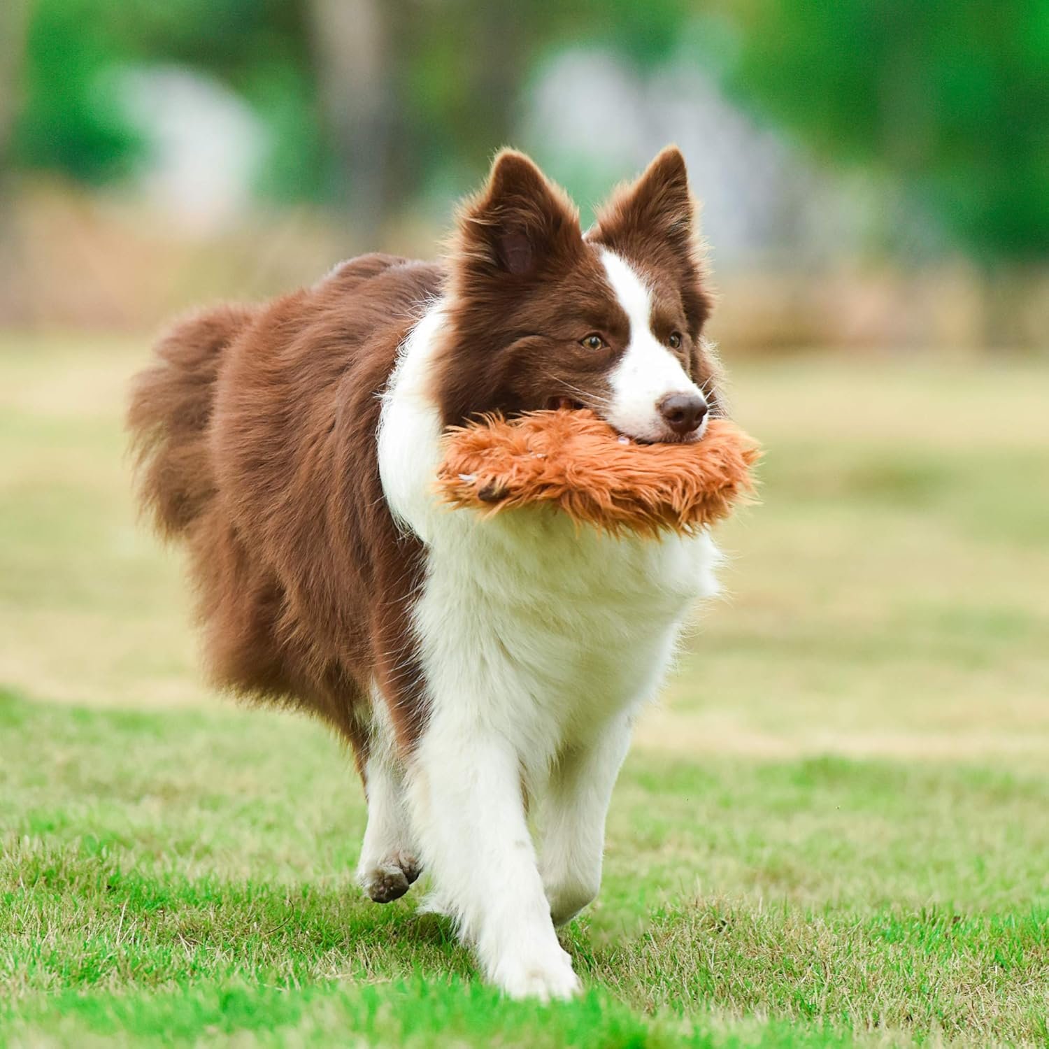 Star Wars for Pets Plush Chewbacca Flattie Dog Toy | Soft Star Wars Toys for Dogs, Brown, Large - 9" | Cute Dog Toy, Squeaky Dog Chew Toy for Pets from Star Wars - Image 8