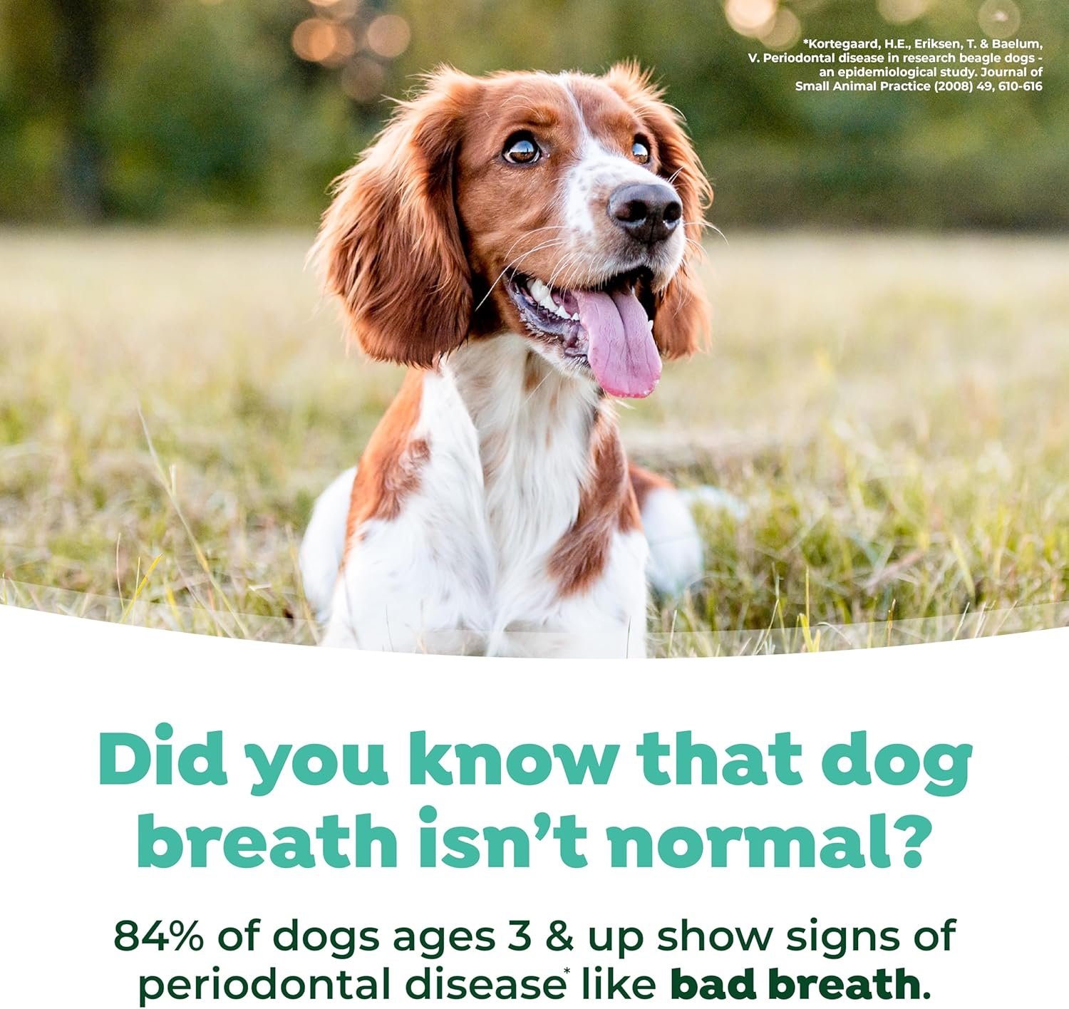 TropiClean Fresh Breath Oral Care Spray for Dogs & Cats | Dog Breath Spray | Mint Breath Freshener | Pet Bad Breath Treatment | Made in the USA | 4 oz - Image 6