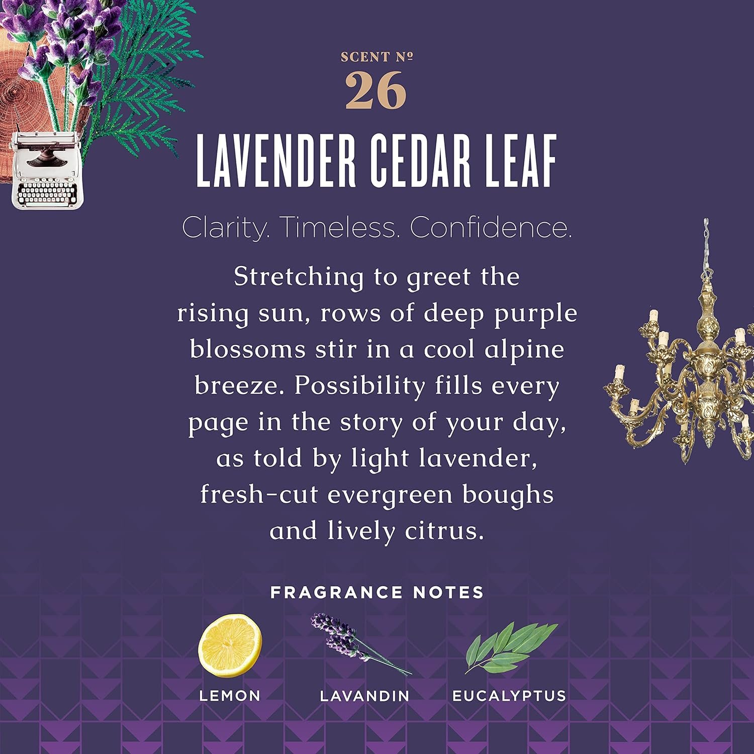 Caldrea Multi-surface Countertop Spray Cleaner, Made with Vegetable Protein Extract, Lavender Cedar Leaf, 16 oz, 3 Pack - Image 6