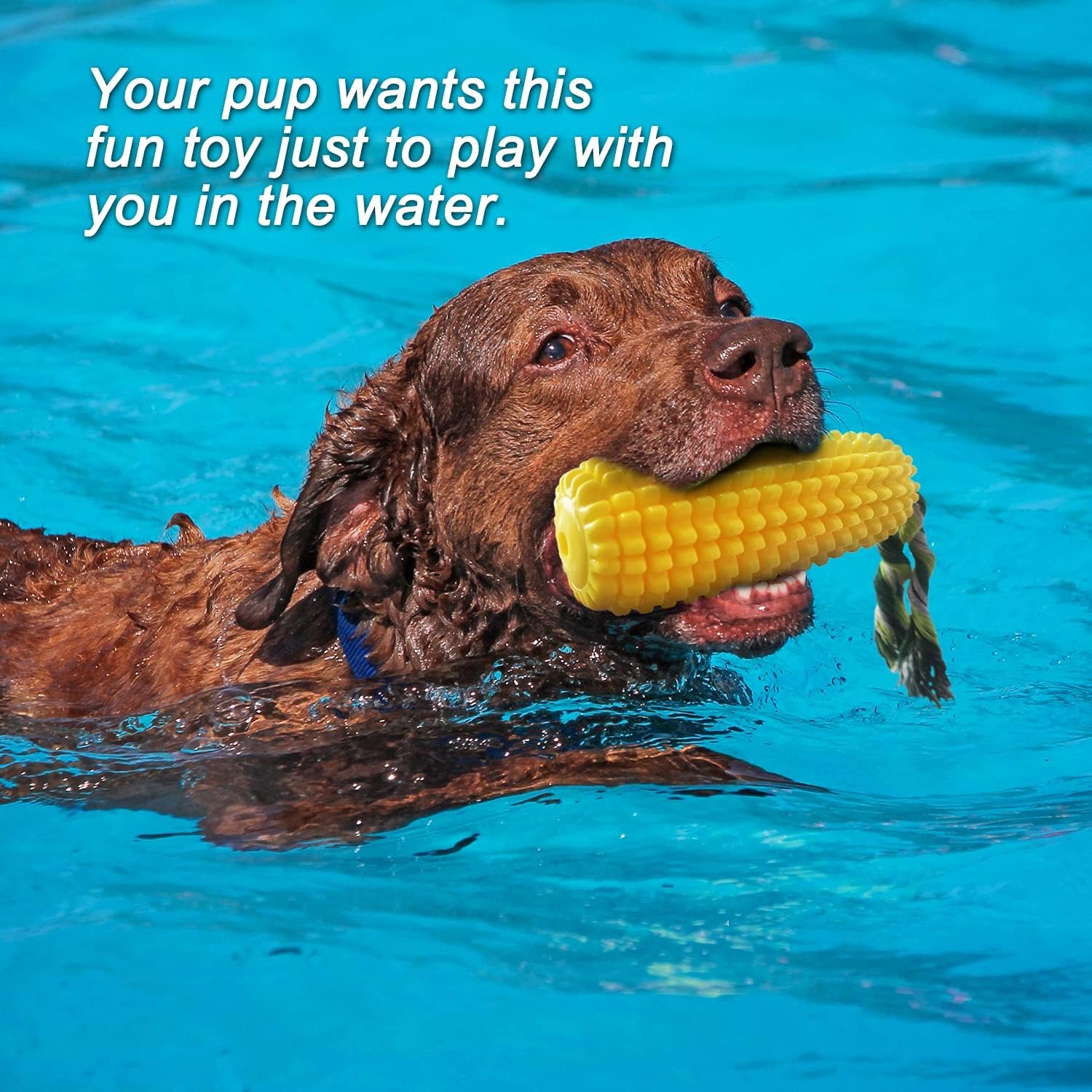 Dog Toys for Aggressive Chewers, Interactive Dog Chew Toys for Small Medium Large Breed, Durable Dog Squeaky Toy with Natural Rubber for Teeth Cleaning and Calming - Image 8