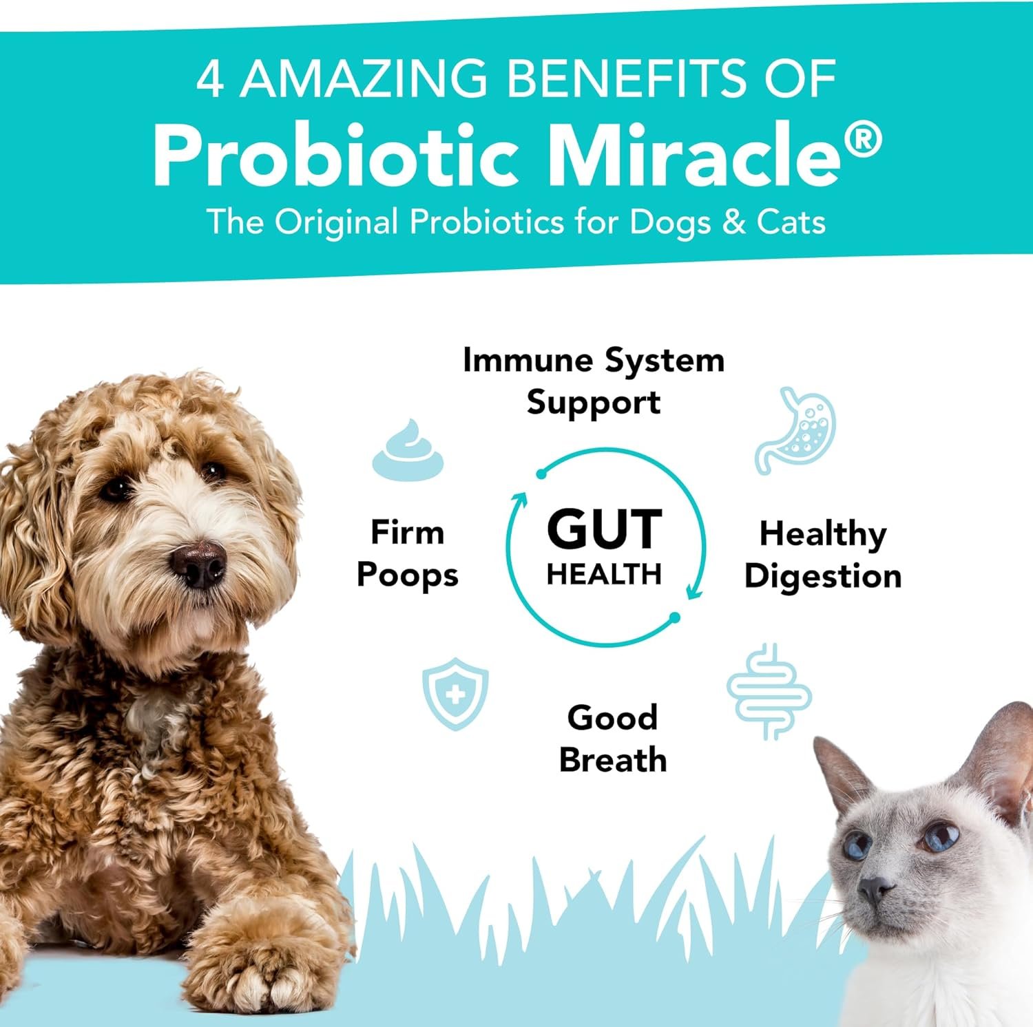 Probiotics for Cats & Dogs : Probiotic Miracle : Bowel & Gut Support : Digestive Health : Stop Diarrhea, Loose Stool - Image 3