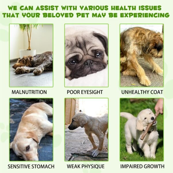 3-in-1 Probiotics for Dogs, Cat Probiotic, Probiotics for Digestive Health Support, Dog Digestive Enzymes & Pure Prebiotic, Supplement for Gut Health & Beneficial Bacteria, Puppy Probiotic - Image 6