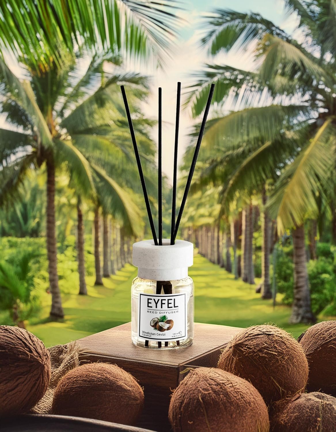 EYFEL Reed Diffusers for Home – Coconut Reed Diffuser Set 4.05 fl oz Oil Diffuser Sticks, Bathroom Diffuser, Bedroom Diffuser, Home Fragrances, Scented Sticks, Home Décor - Image 3