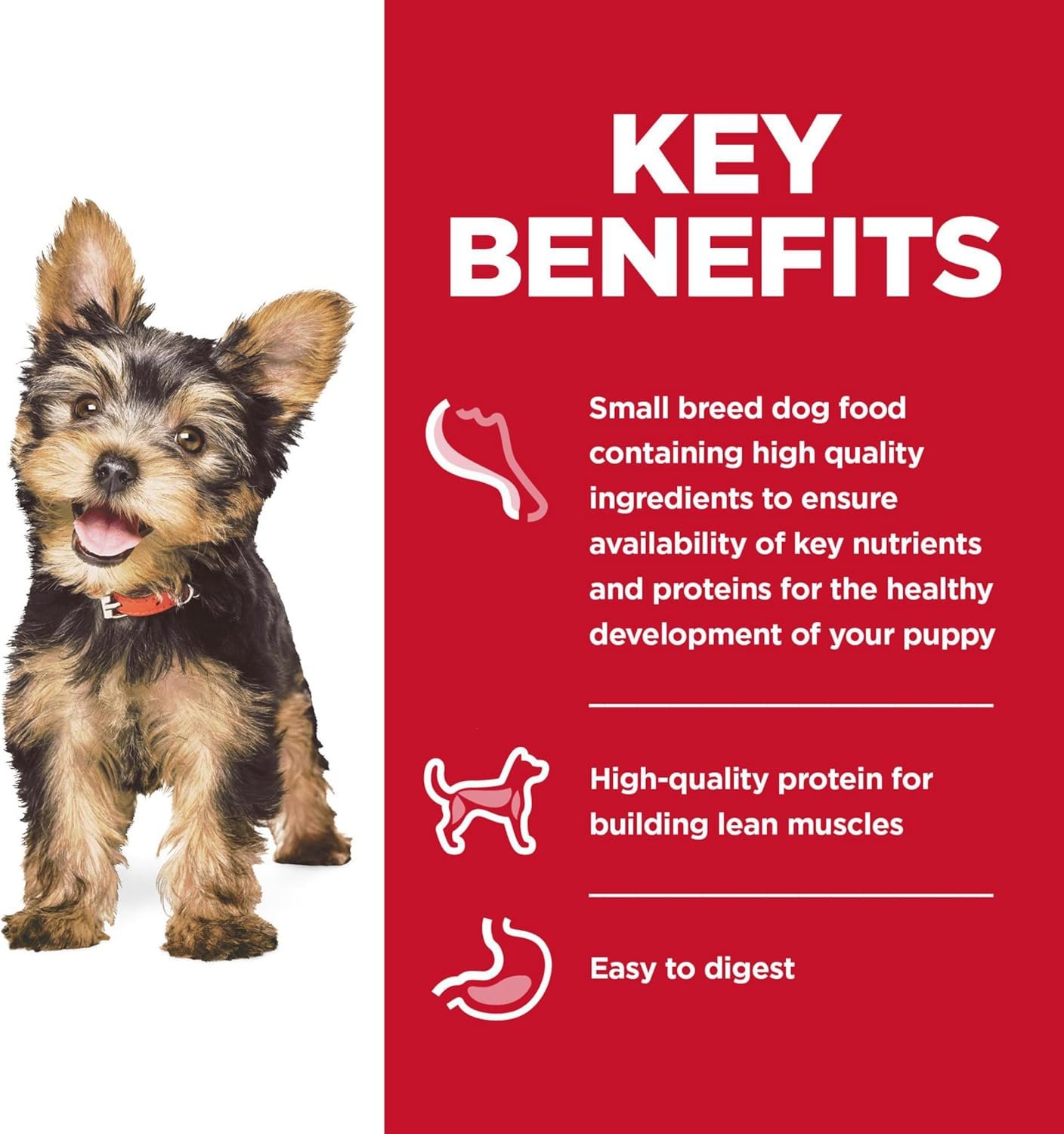 Hill's Science Diet Puppy, Puppy, Small & Mini Breeds Puppy Premium Nutrition, Wet Dog Food, Chicken & Vegetables Stew, 3.5 oz Tray, Case of 12 - Image 6