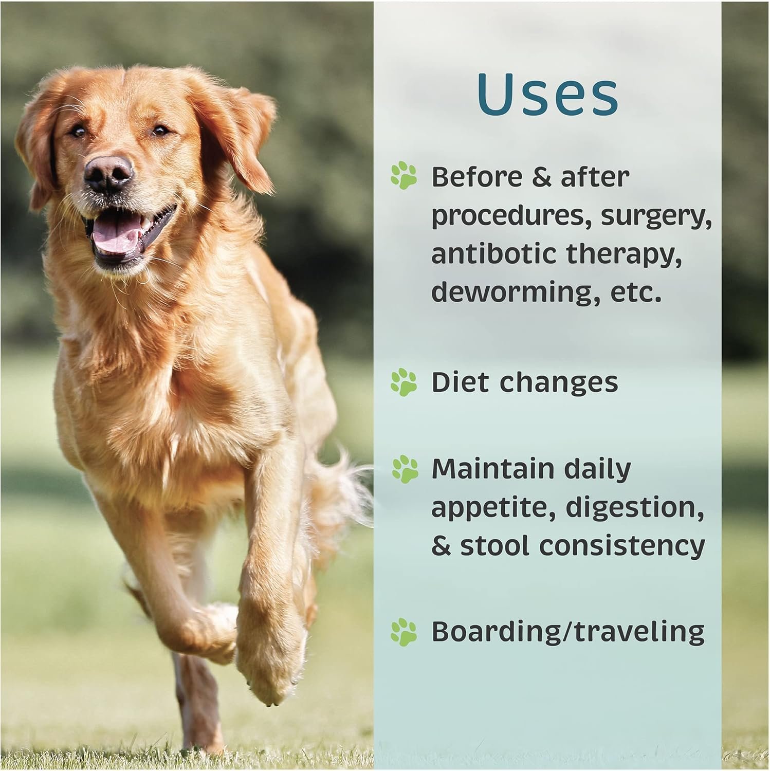 VetOne Advita Probiotic Nutritional Supplement for Dogs - 30 Packets - Image 6