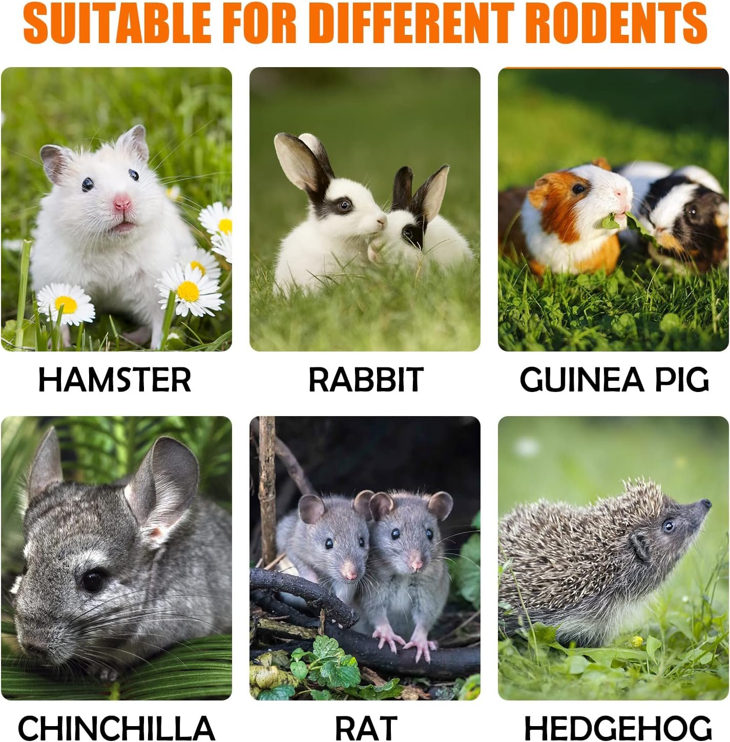 Sofier Rabbit Toys Bunny Toys Hamster Toys Guinea Pig Toys Natural Seagrass Hanging Basket with Timothy Hay Treats Handmade Chew Toys for Teeth Enrichment Chinchilla Rat - Image 7