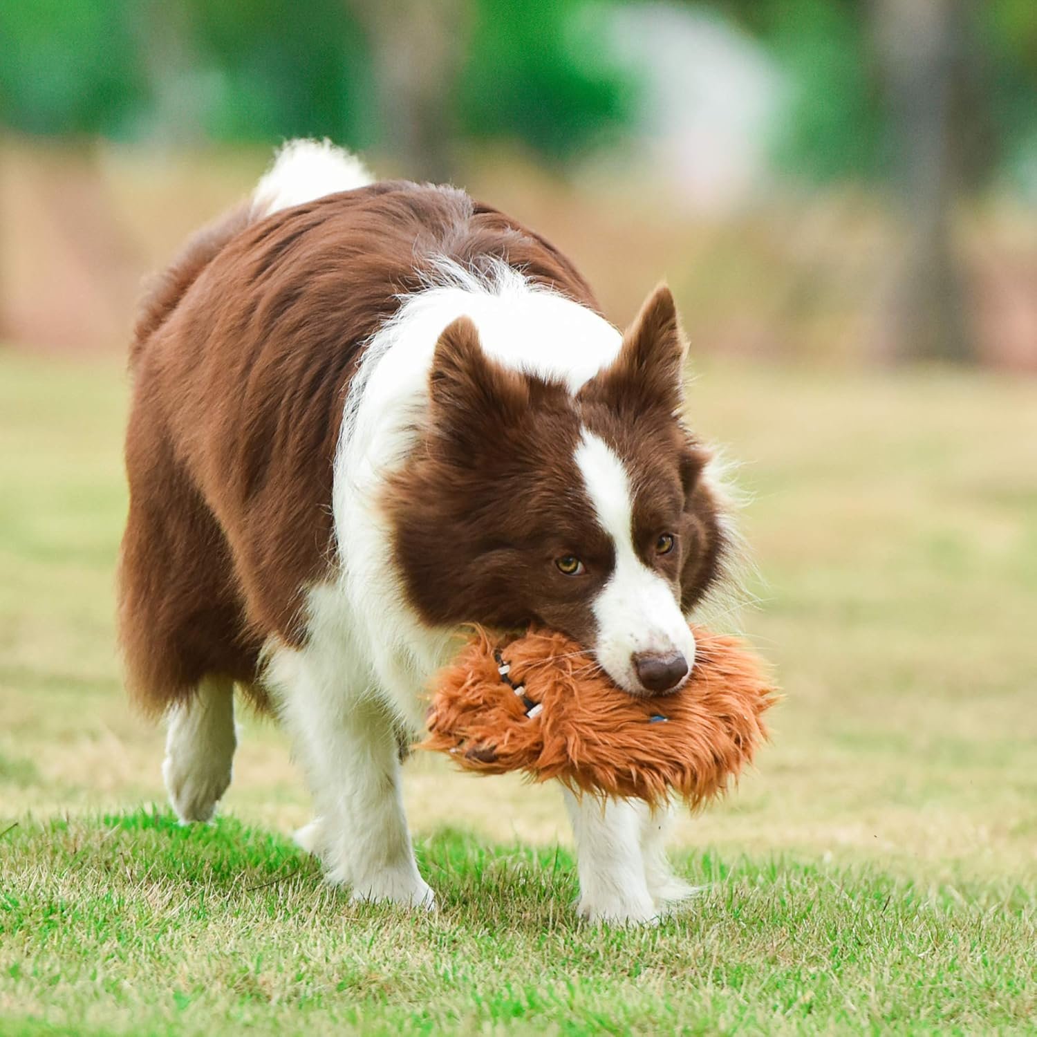 Star Wars for Pets Plush Chewbacca Flattie Dog Toy | Soft Star Wars Toys for Dogs, Brown, Large - 9" | Cute Dog Toy, Squeaky Dog Chew Toy for Pets from Star Wars - Image 9