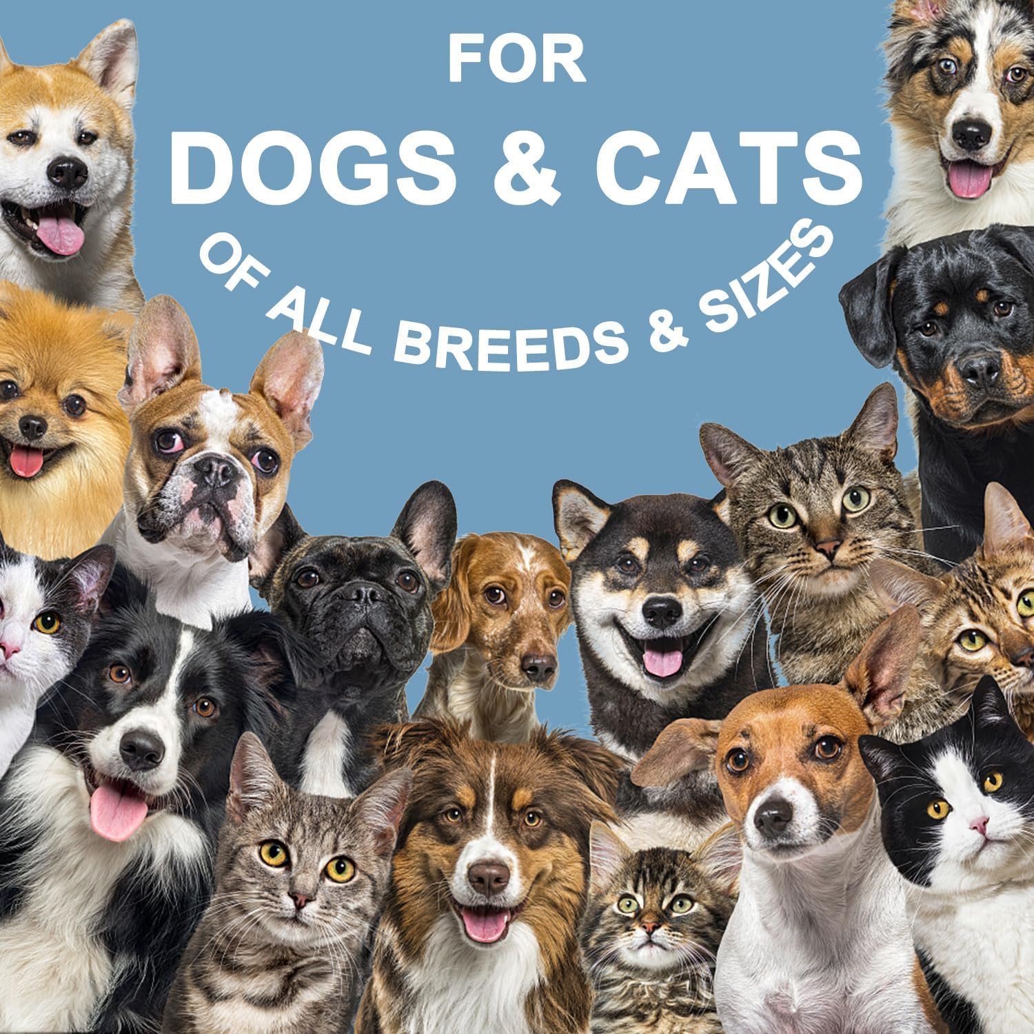 Natural Probiotics for Dogs, Probiotic Drops for Dogs with Digestive Enzymes, Probiotics for Dogs for Yeast, Itchy Skin and Itchy Ears, Supports Digestive Health, Relieves Diarrhea and Indigestion - Image 8