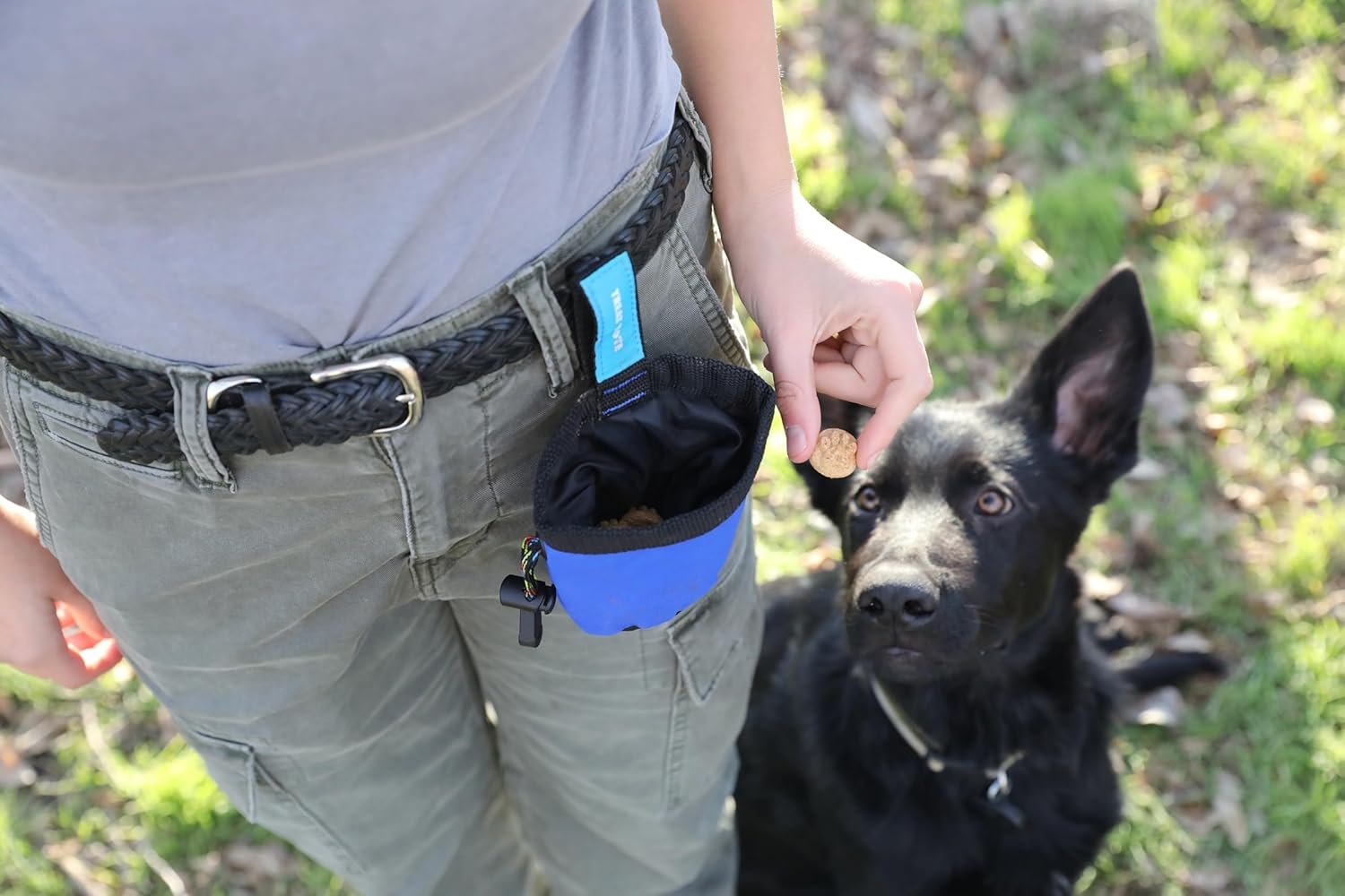 Chuckit Treat Tote Dog Treat Pouch for Puppy Training, 1 Cup Capacity, Assorted Colors - Image 5