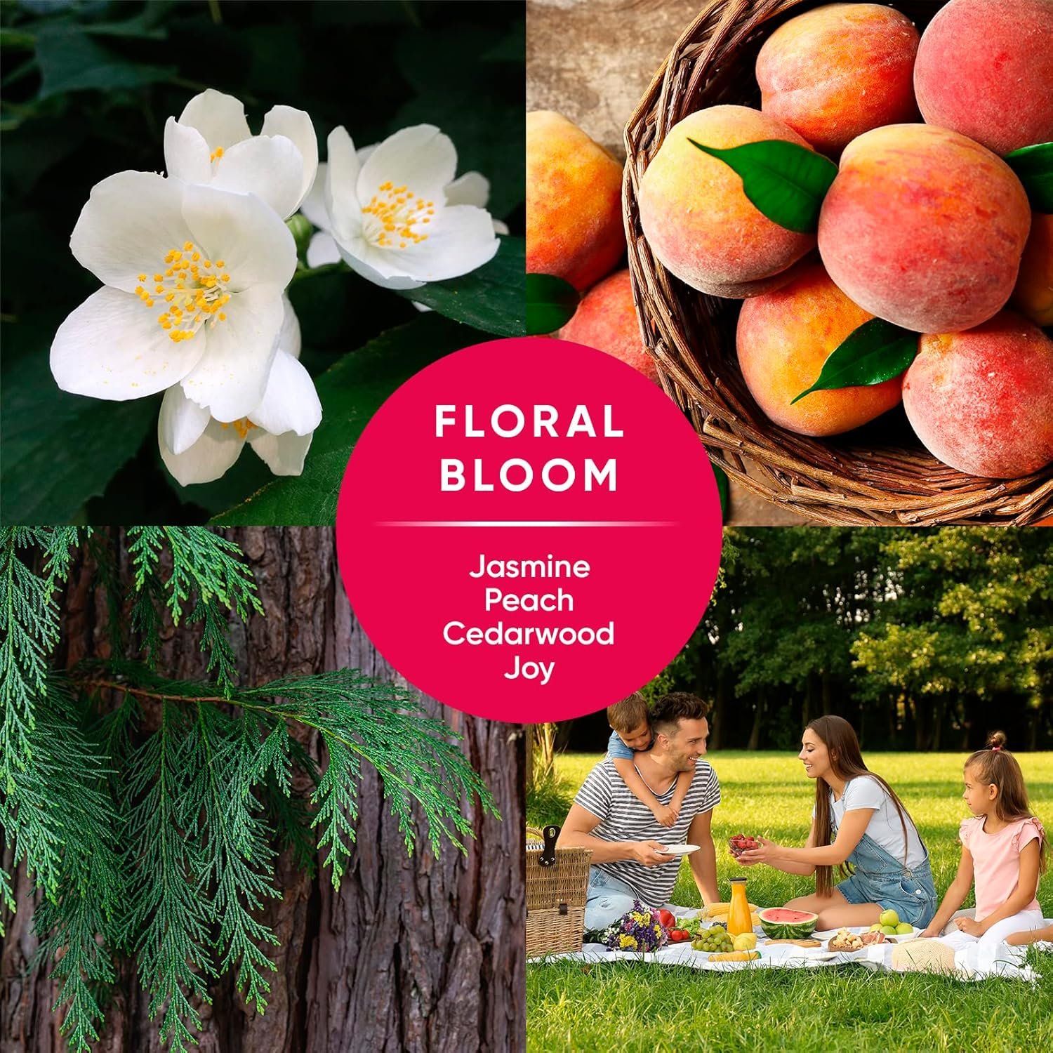 PINALEN Max All Purpose Household Cleaning Floral Scent + Bonus Pack - (33.8 oz) (2024) - Image 7