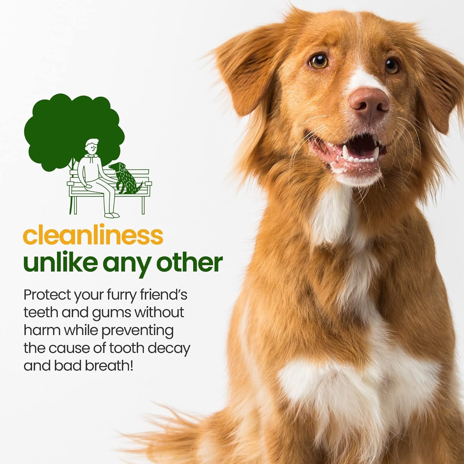 Gerrard Larriett: Natural Dog and Cat Breath Freshener - Dog Mouthwash with Mint, Aloe Vera, & Baking Soda - Gentle Cat & Dog Breath Spray for Plaque, Tartar Control for Full Pet/Dog Oral Care, 8 oz - Image 5