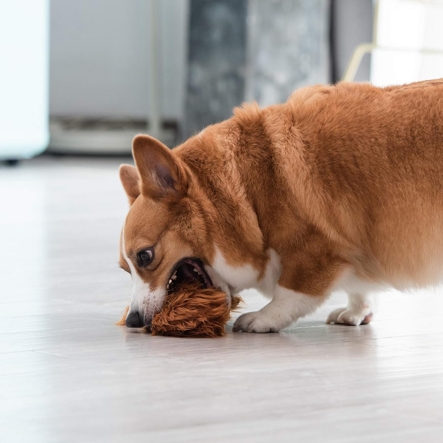 Star Wars for Pets Plush Chewbacca Flattie Dog Toy | Soft Star Wars Toys for Dogs, Brown, Large - 9" | Cute Dog Toy, Squeaky Dog Chew Toy for Pets from Star Wars - Image 6