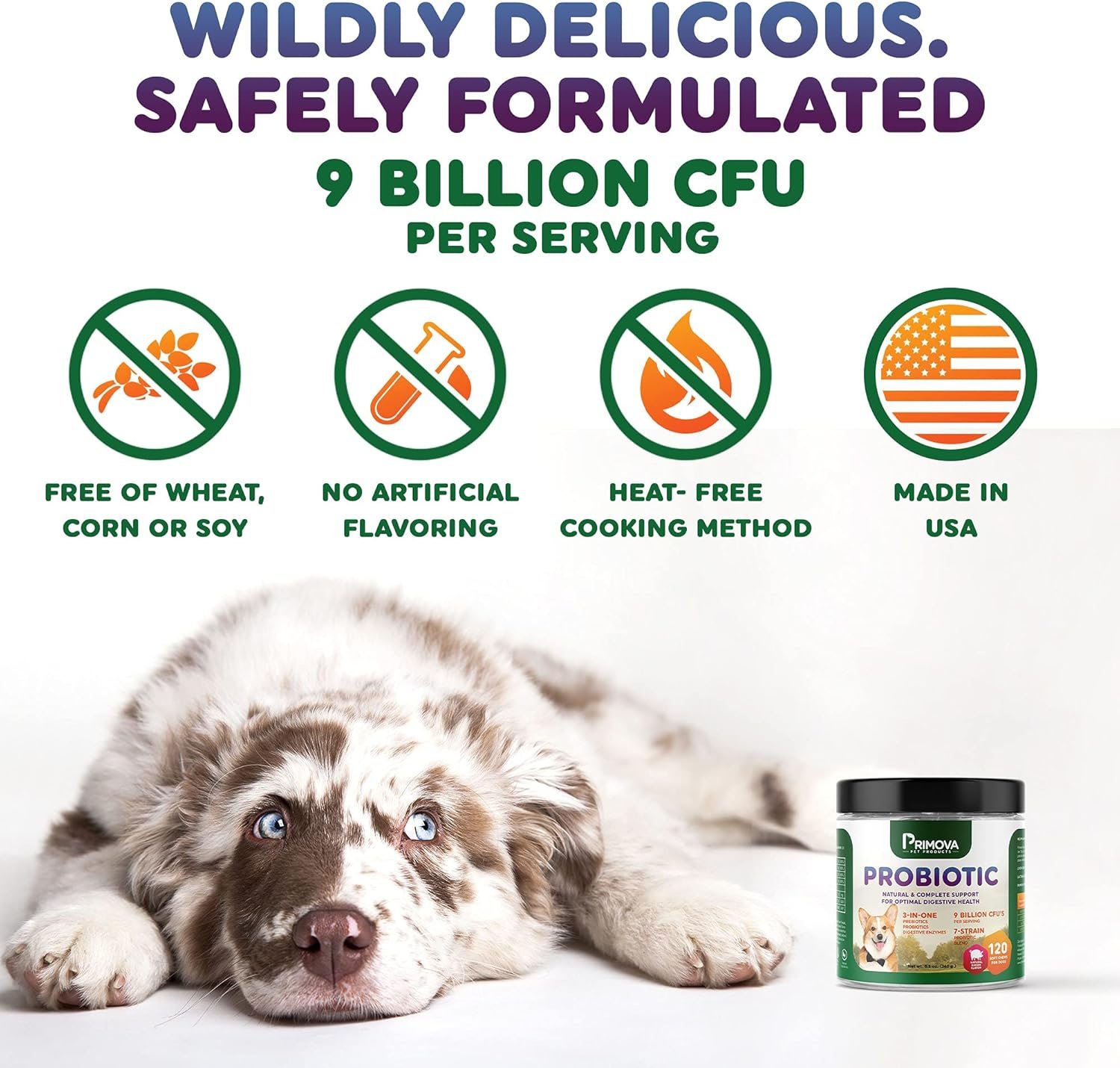 Probiotic Dog Chews for Dog Digestive Enzymes - Dog Diarrhea & Natural Allergy Relief - Puppy Probiotic Chews - Dog Allergy Chews - Pack of 120 Chews - Image 8