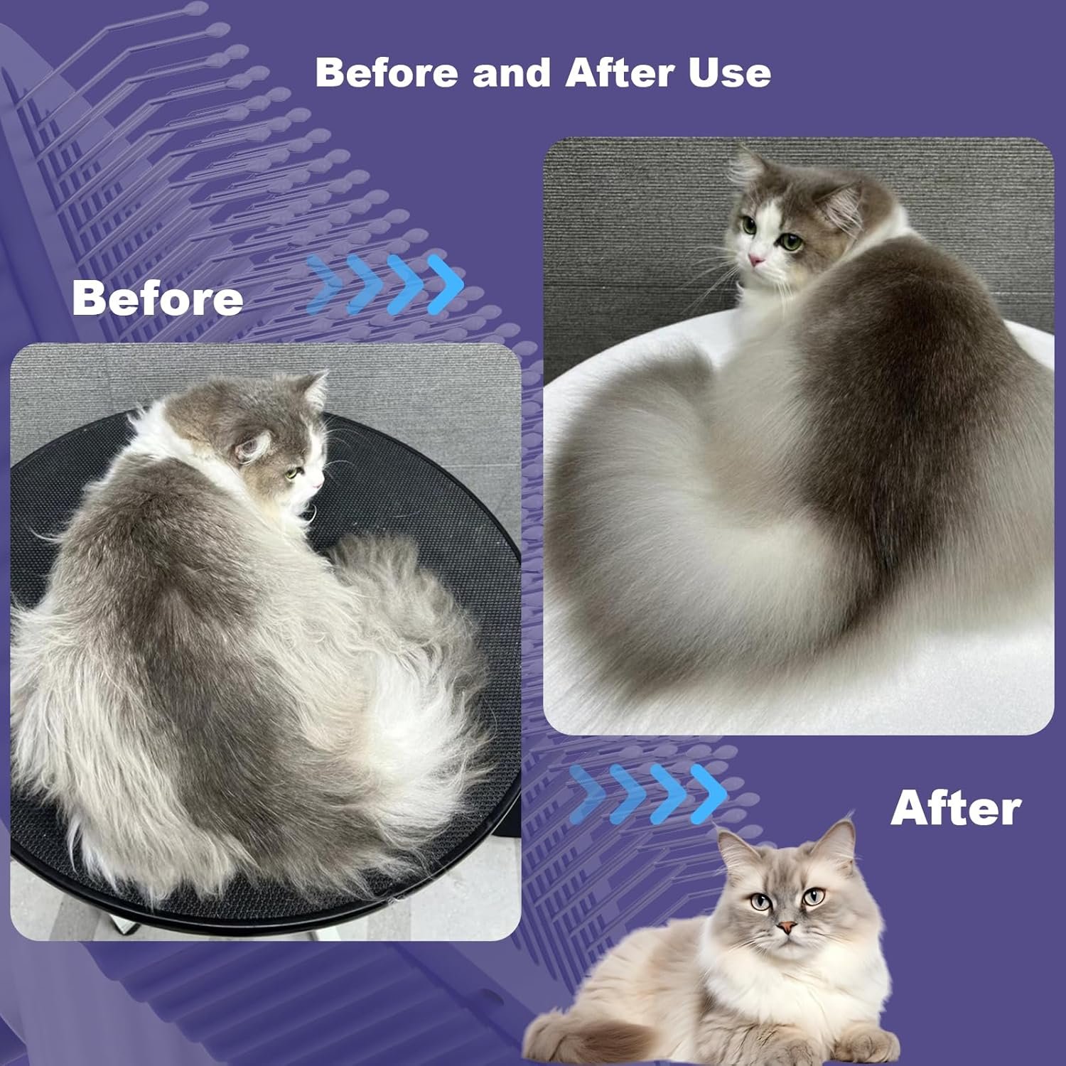 Cat brush, Cat Brush for Long or Short Haired Cats, Remove Loose Fur and Mats, Rounded Pins Reduces Painful Pulling, Not for Tangle and Curly Fur, Dark Blue - Image 7
